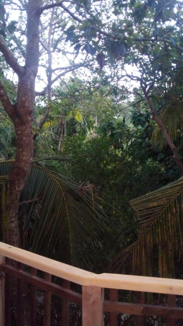 Yunal's Place view 2