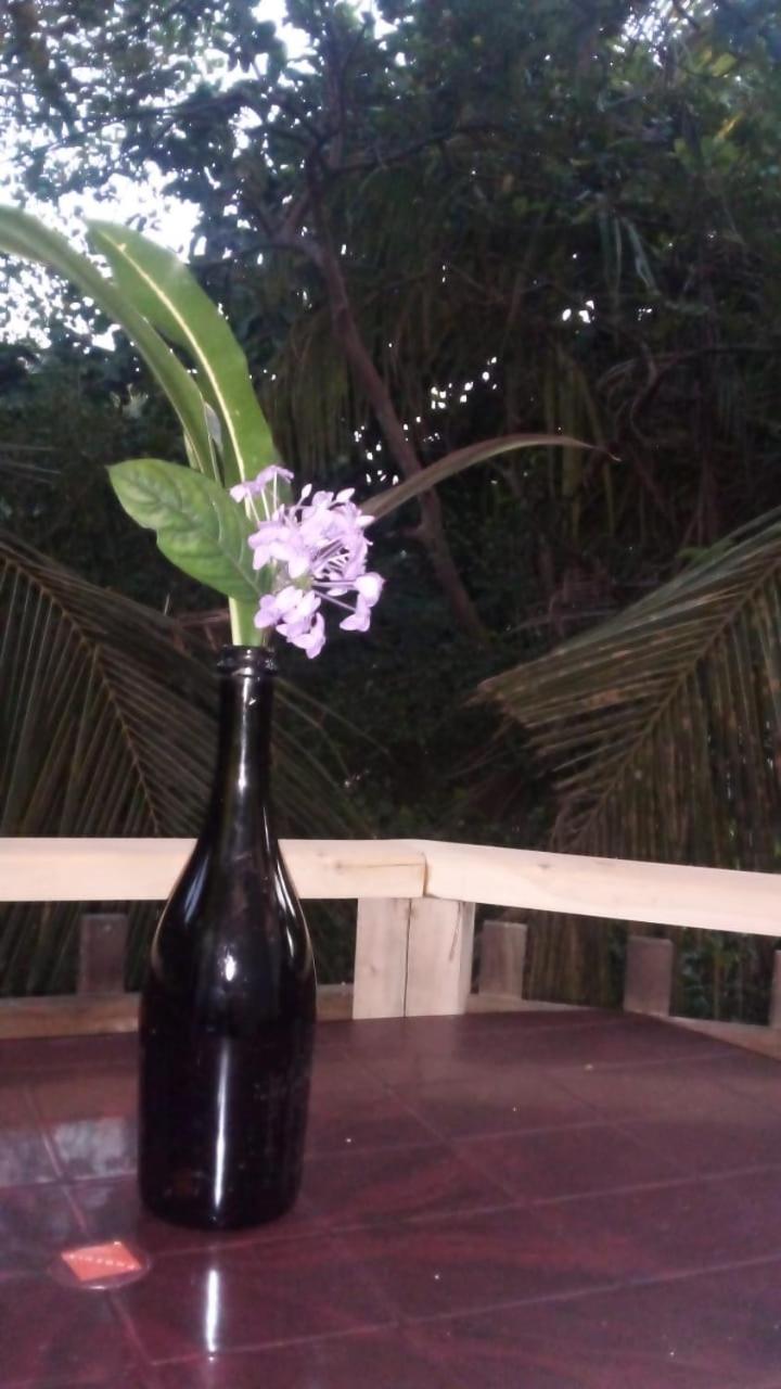 Yunal's Place view 4
