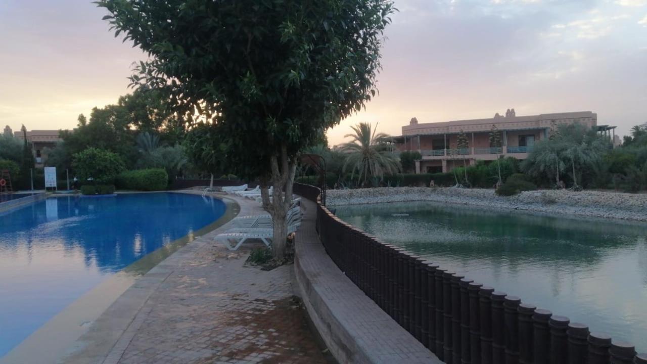 Apprt Palm Hayat view 4