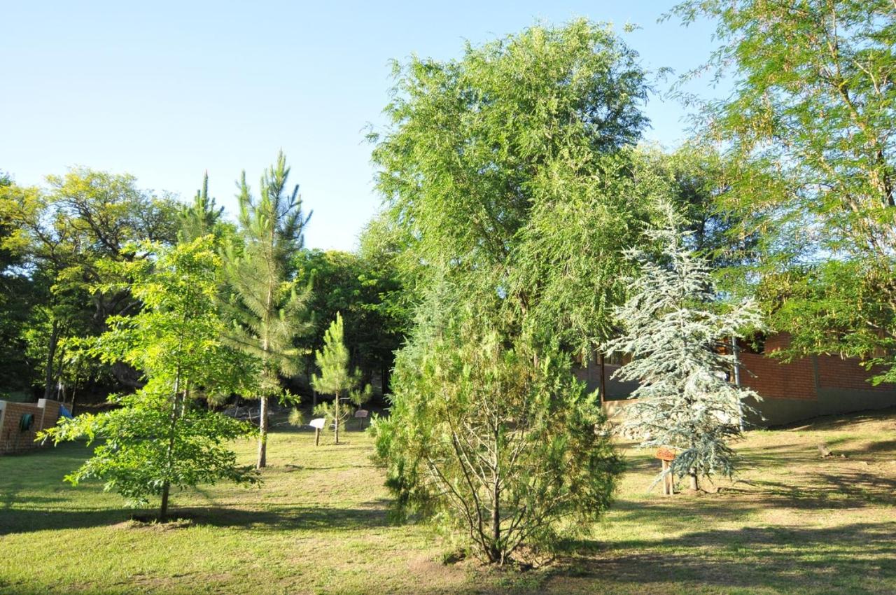 Bosque Encantado Cabañas