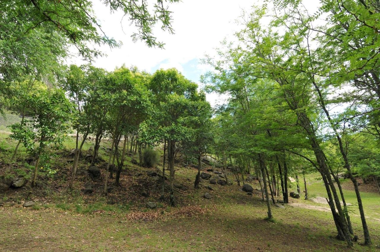 Bosque Encantado Cabañas