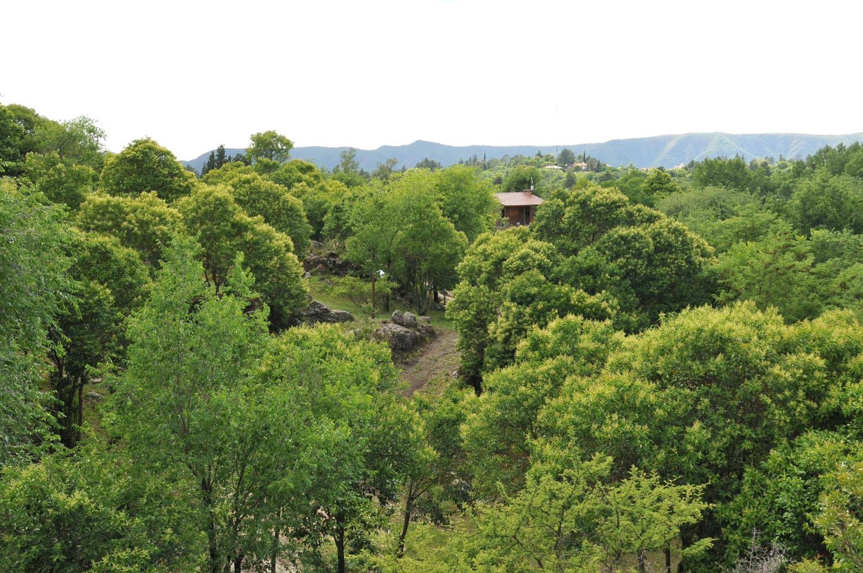 Bosque Encantado Cabañas