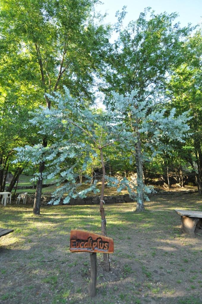 Bosque Encantado Cabañas