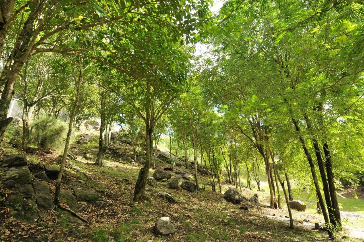 Bosque Encantado Cabañas
