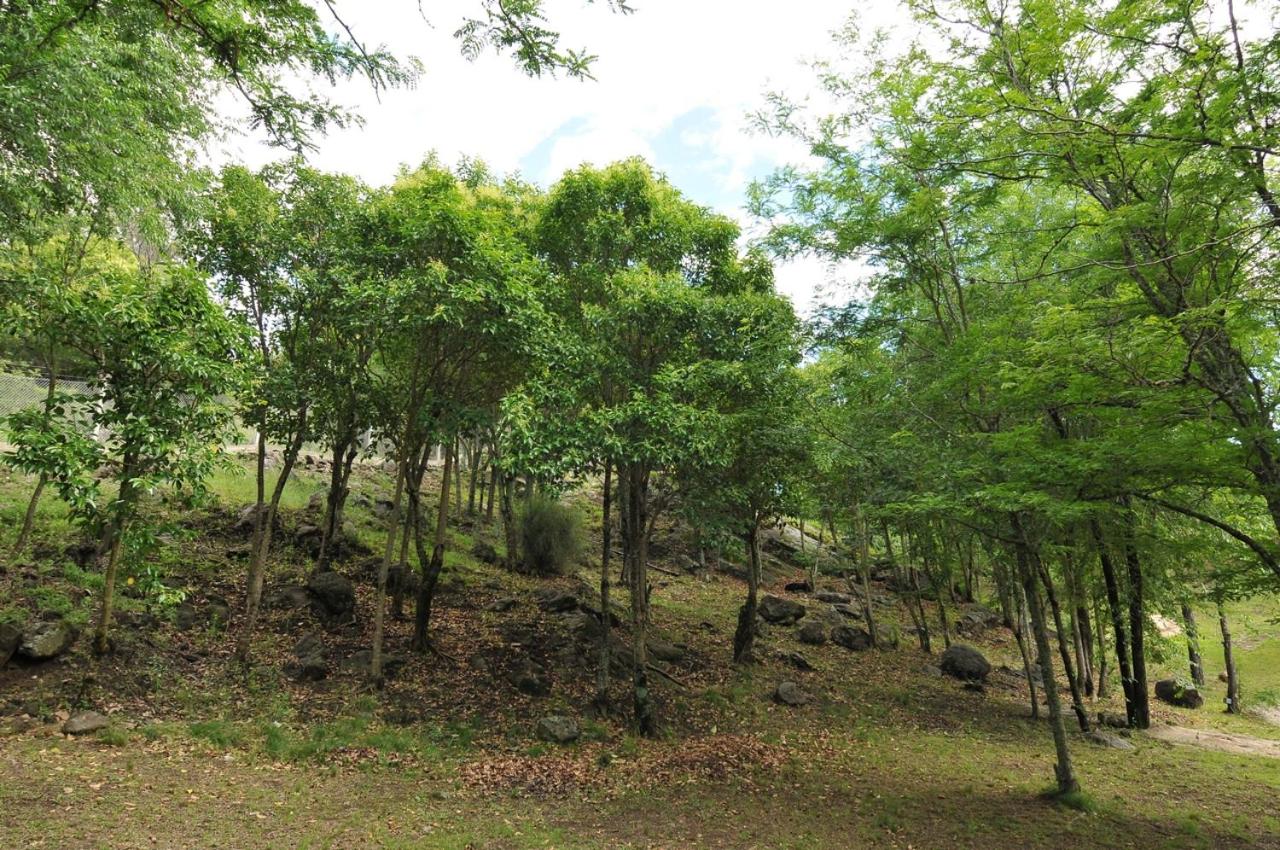 Bosque Encantado Cabañas