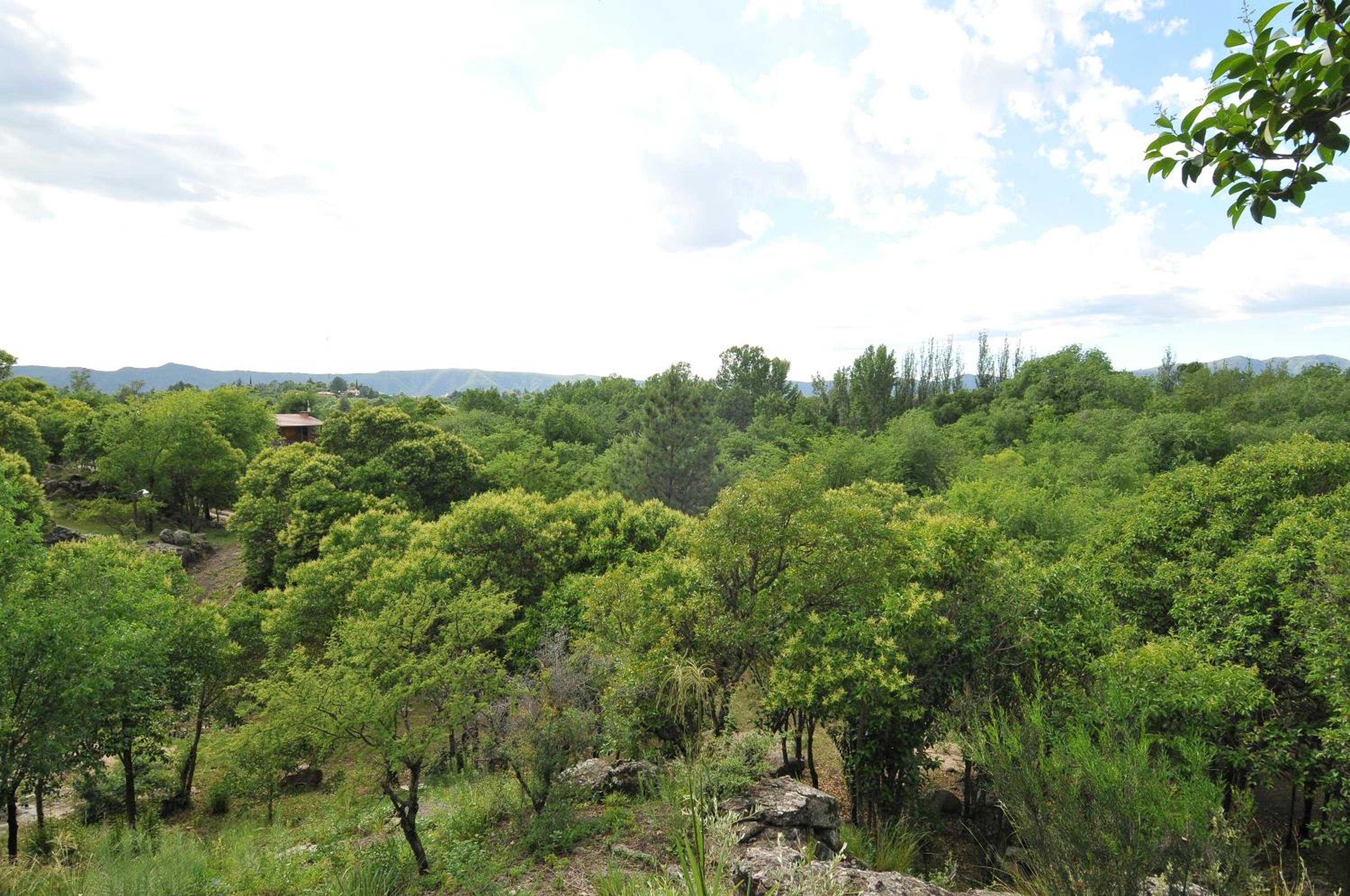 Bosque Encantado Cabañas