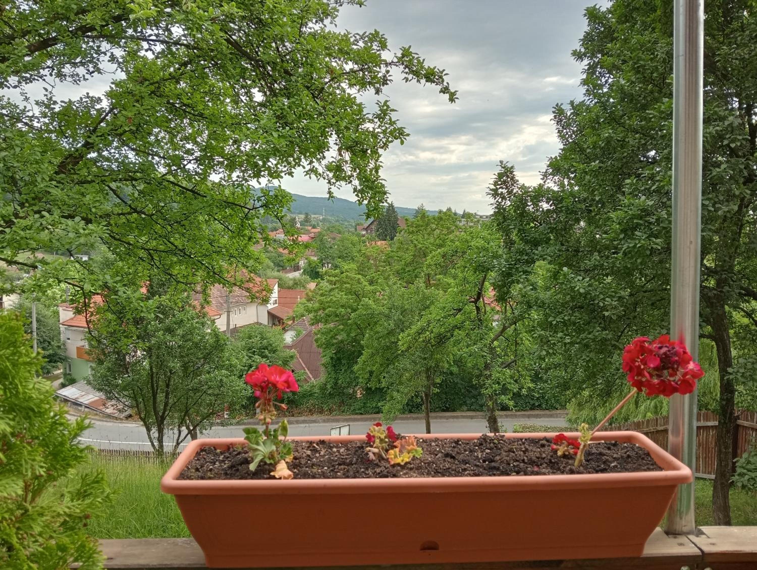 Casa Hermina view 2