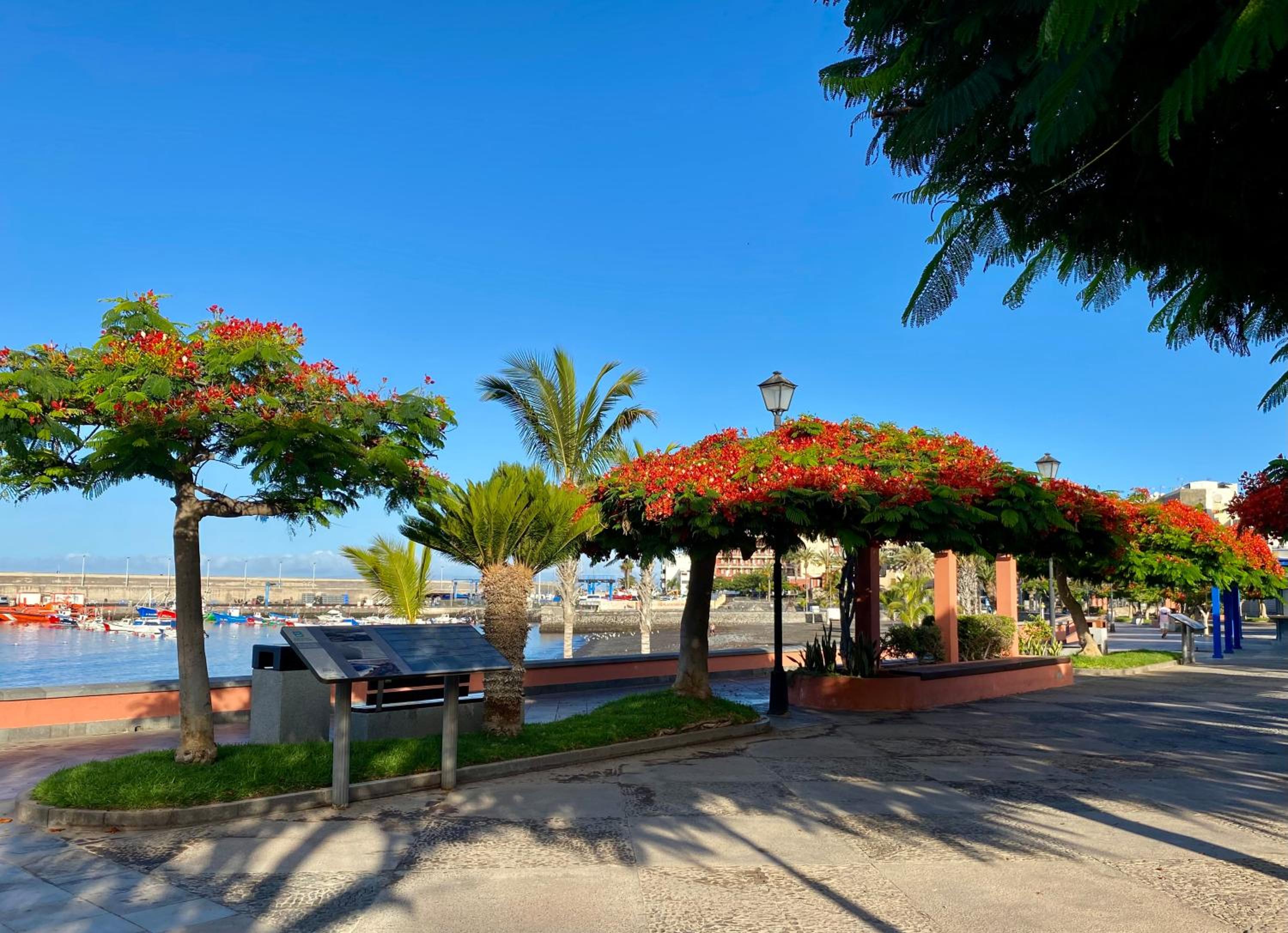 Casa Antonio - apartamento Orion