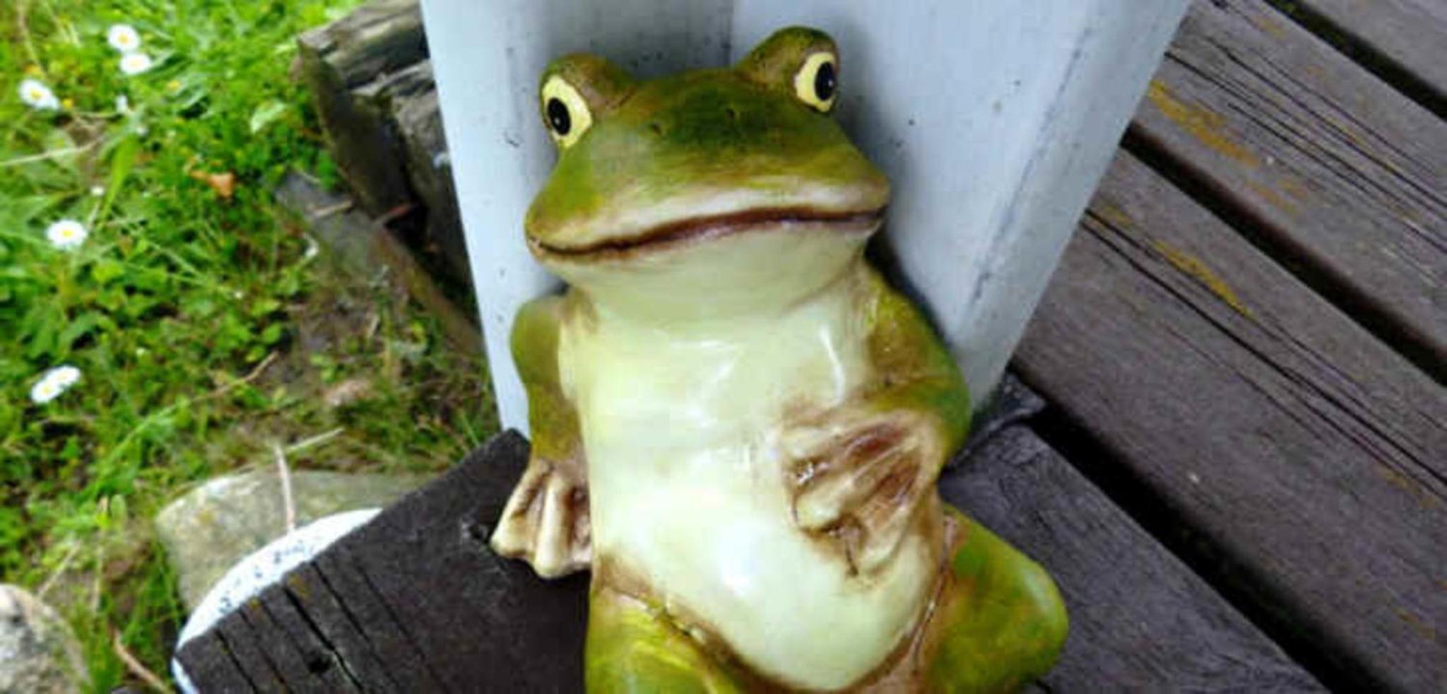Moorfrosch