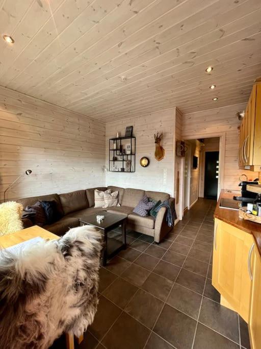 Cozy Apartment near alpine and trails in Sirdal view 4