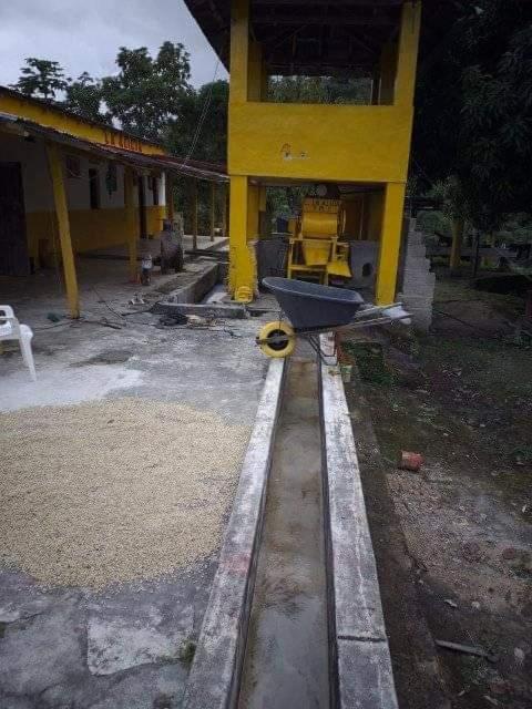 Casa Finca Cafetera La Alicia Minca
