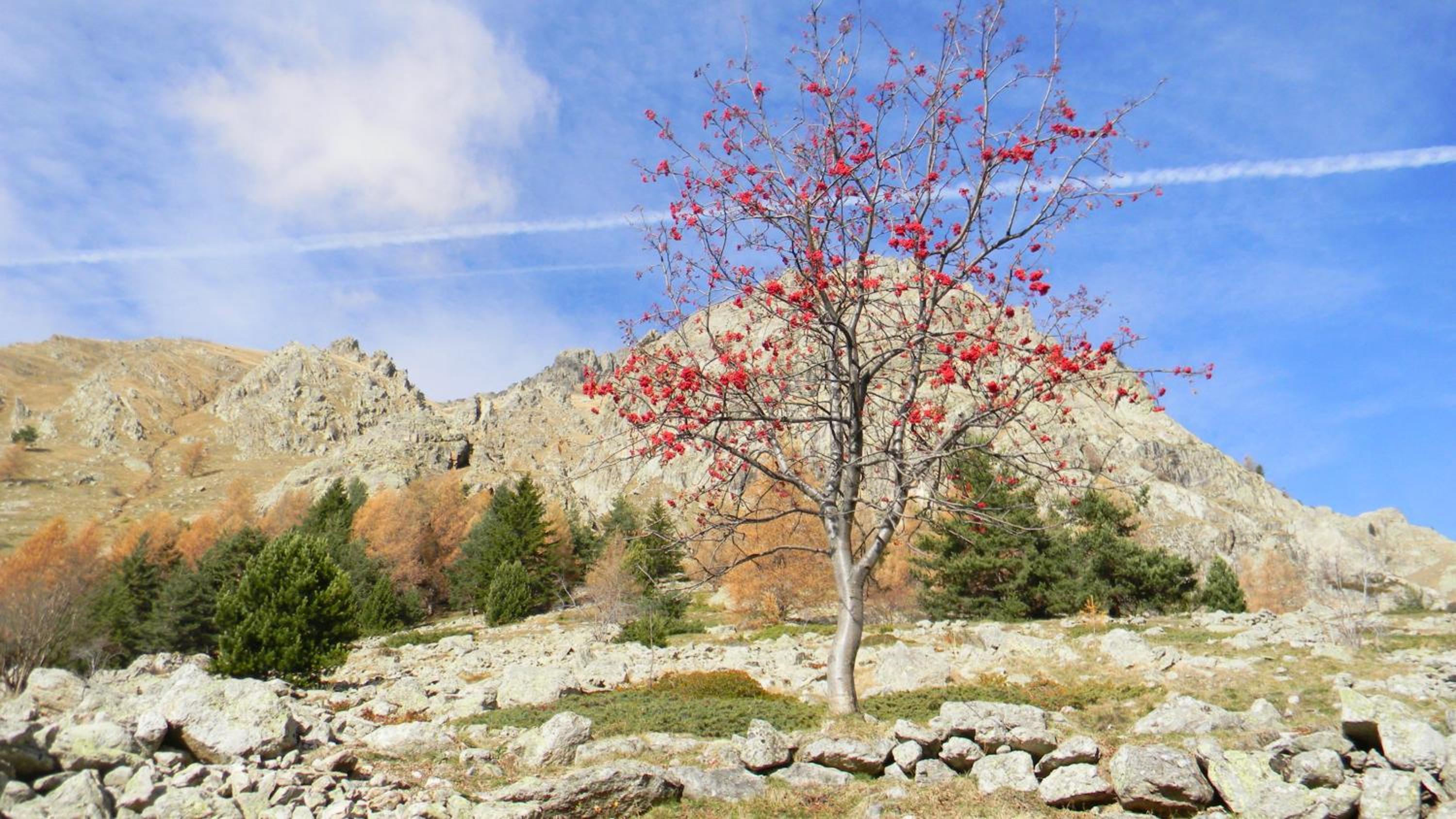 Chambres d'hôtes les Murès du Mercantour
