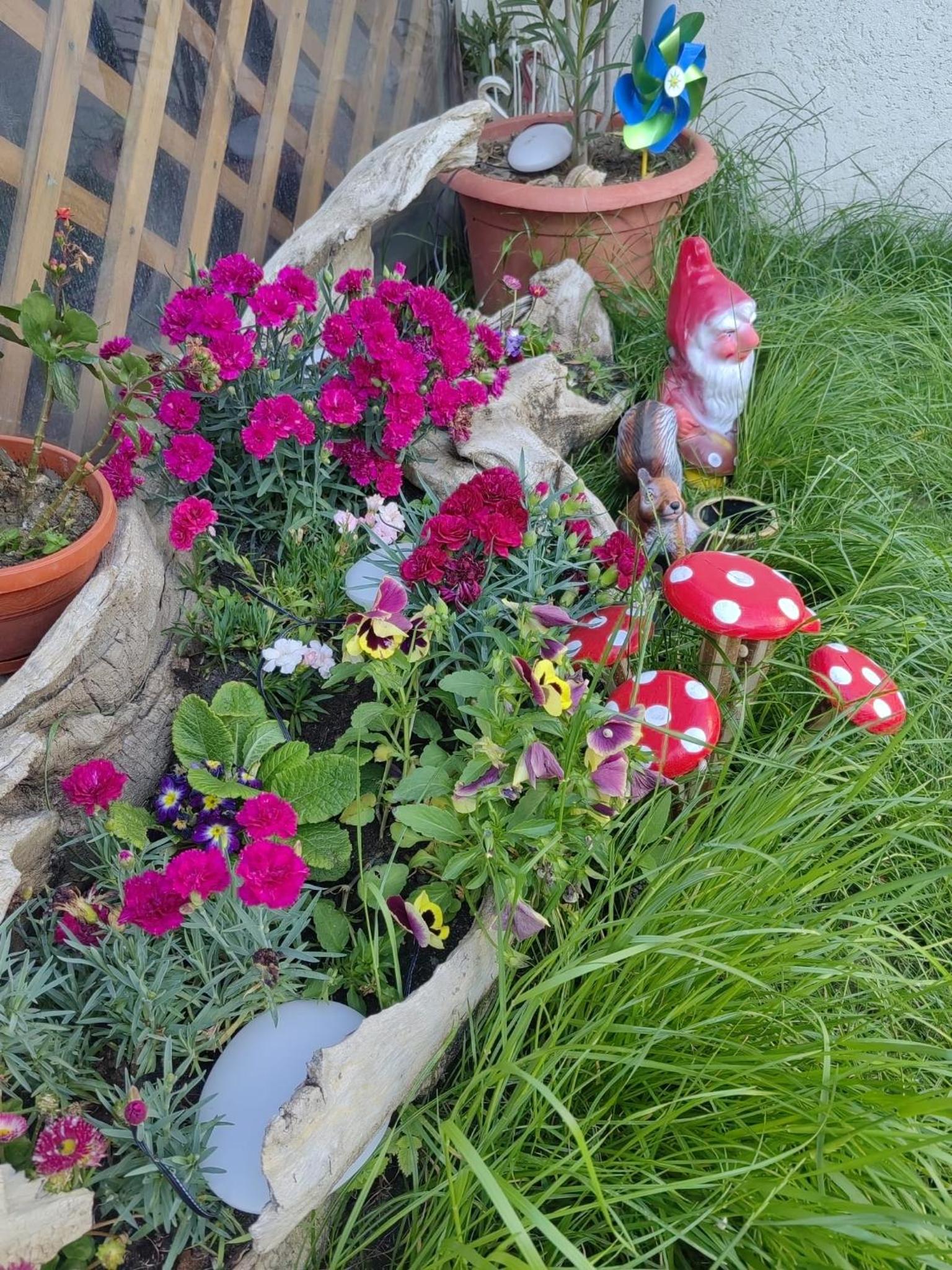 Casa Filip
