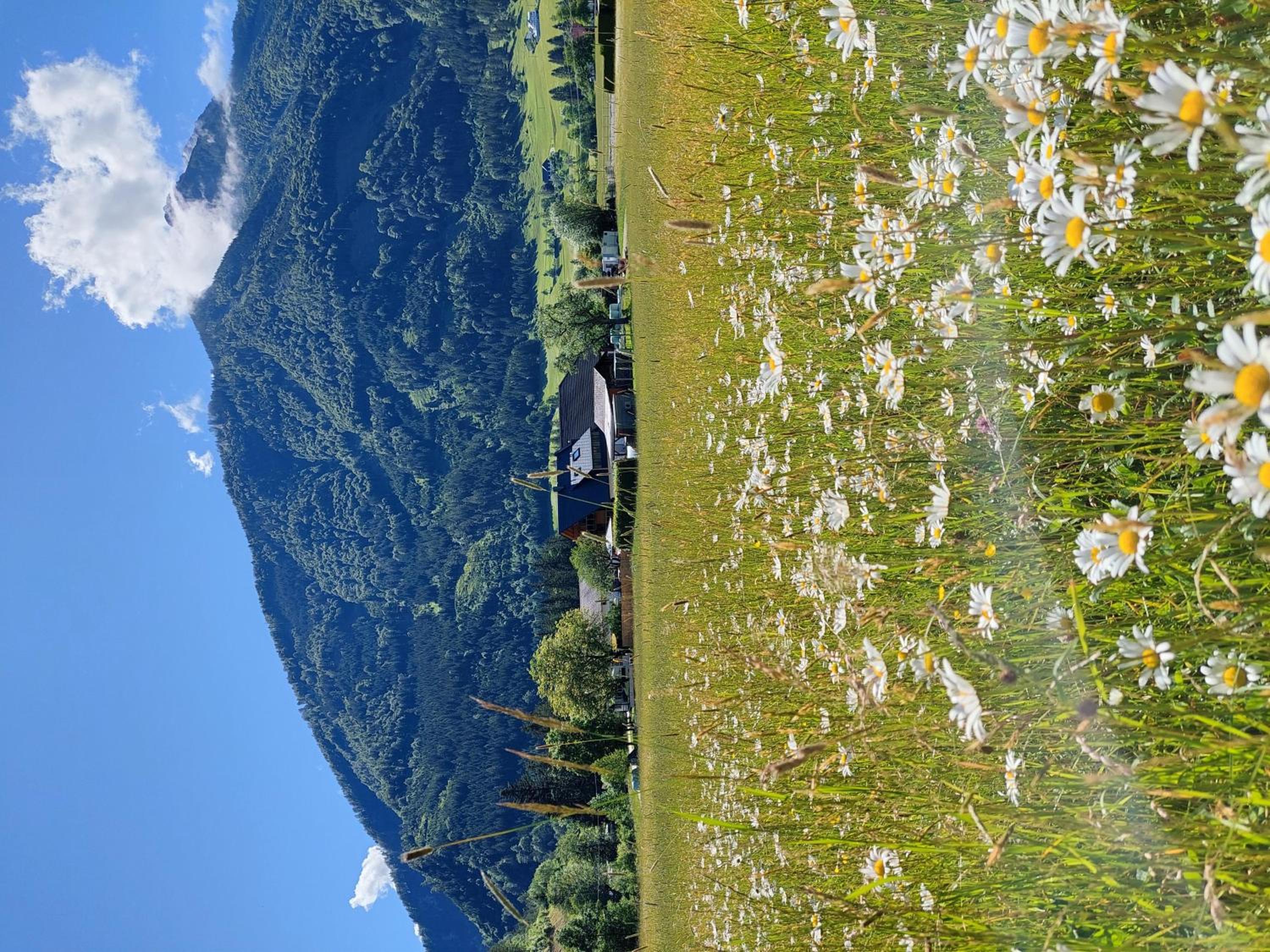Hofpower`s Mountain Feeling