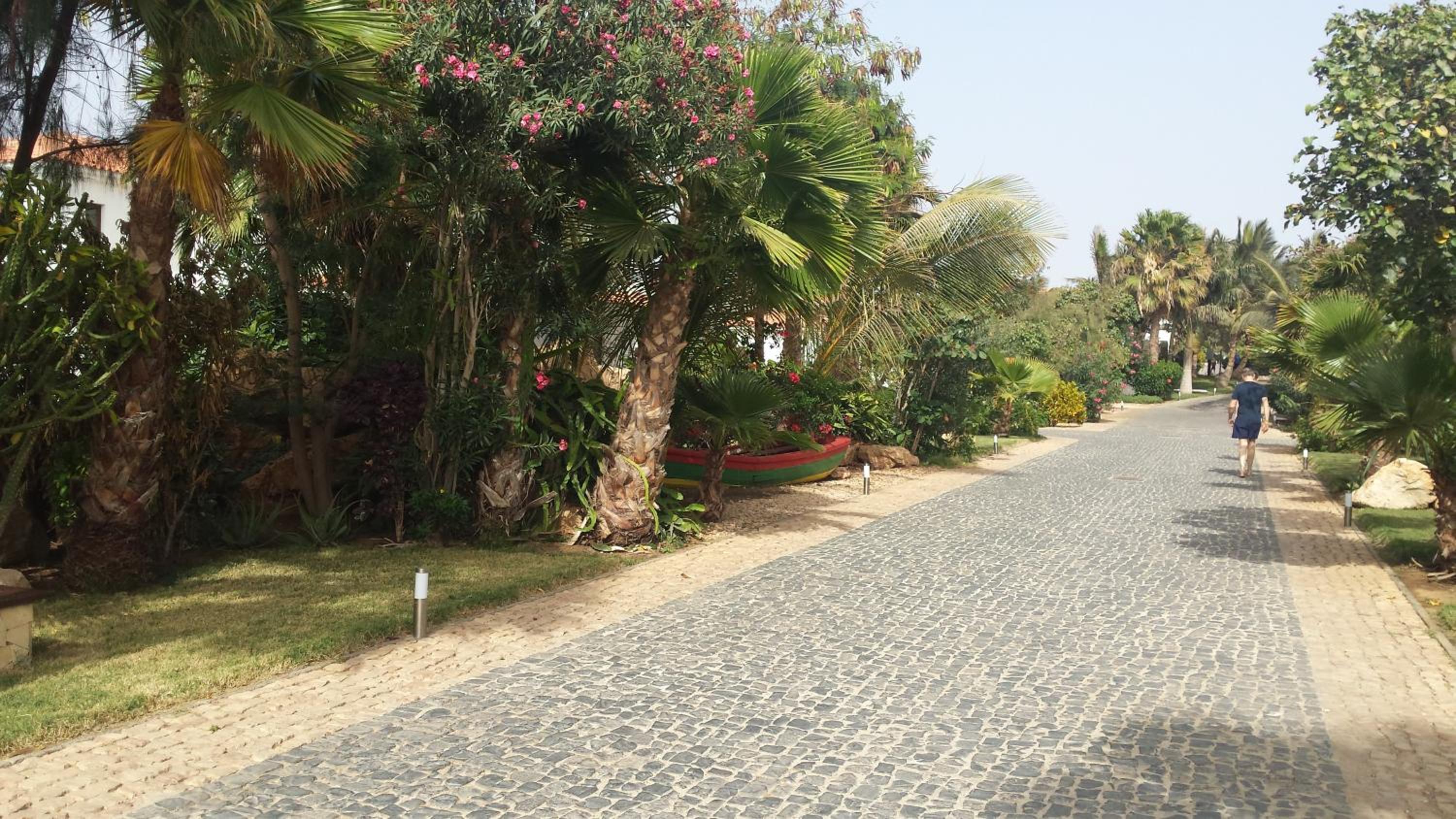Tortuga beach resort Penthouse apartment for holiday rental