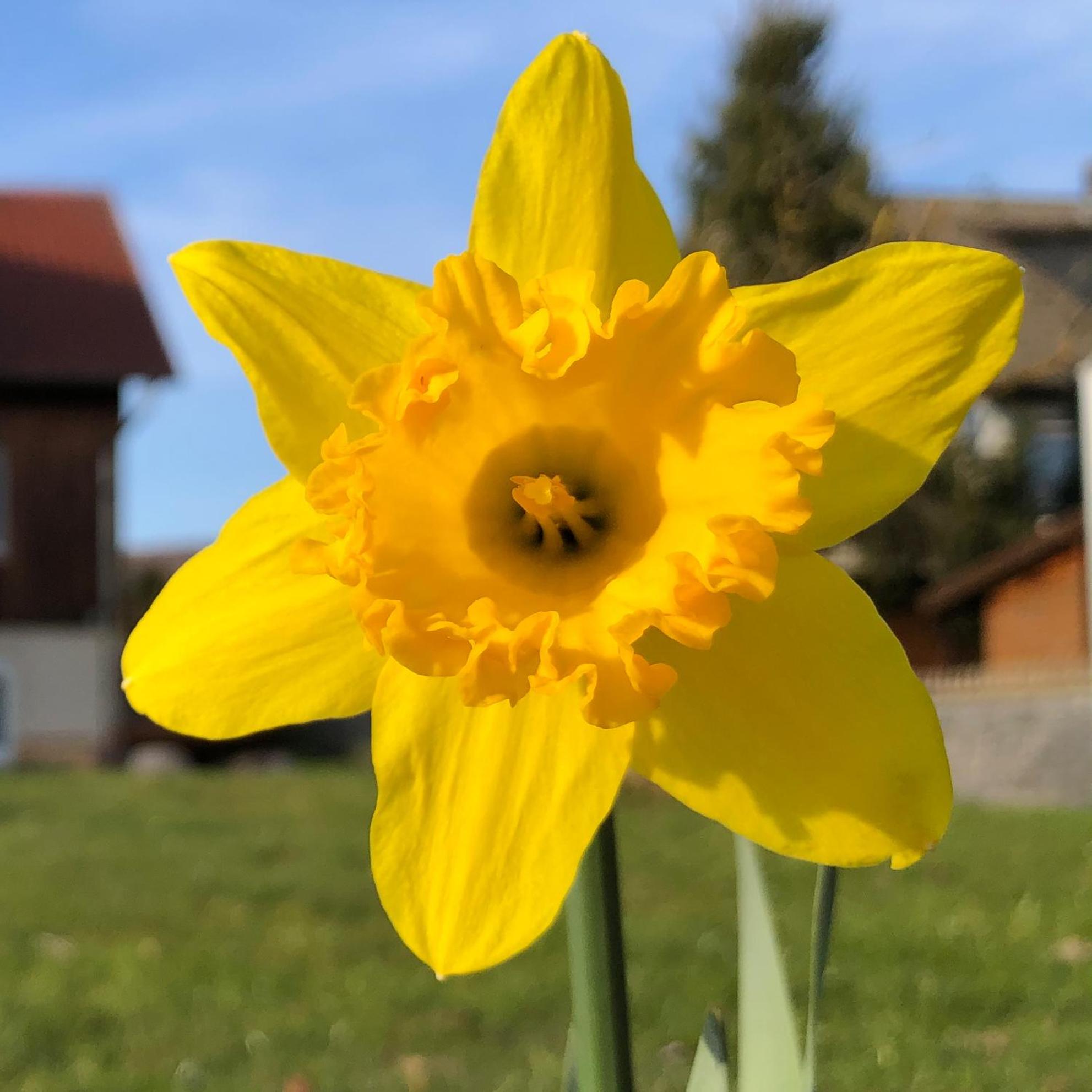 Ferienwohnung Werrablick Hedemünden - Gartenbenutzung mit Grill - WLAN