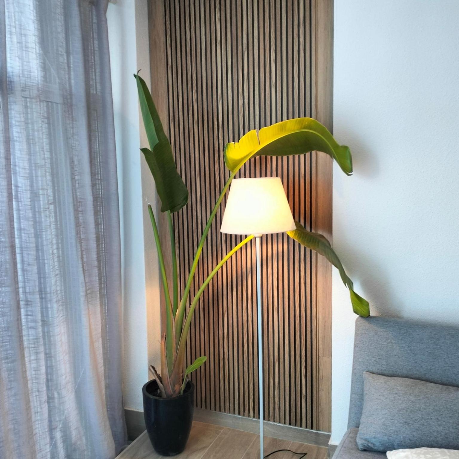 Natural Home photo 4
