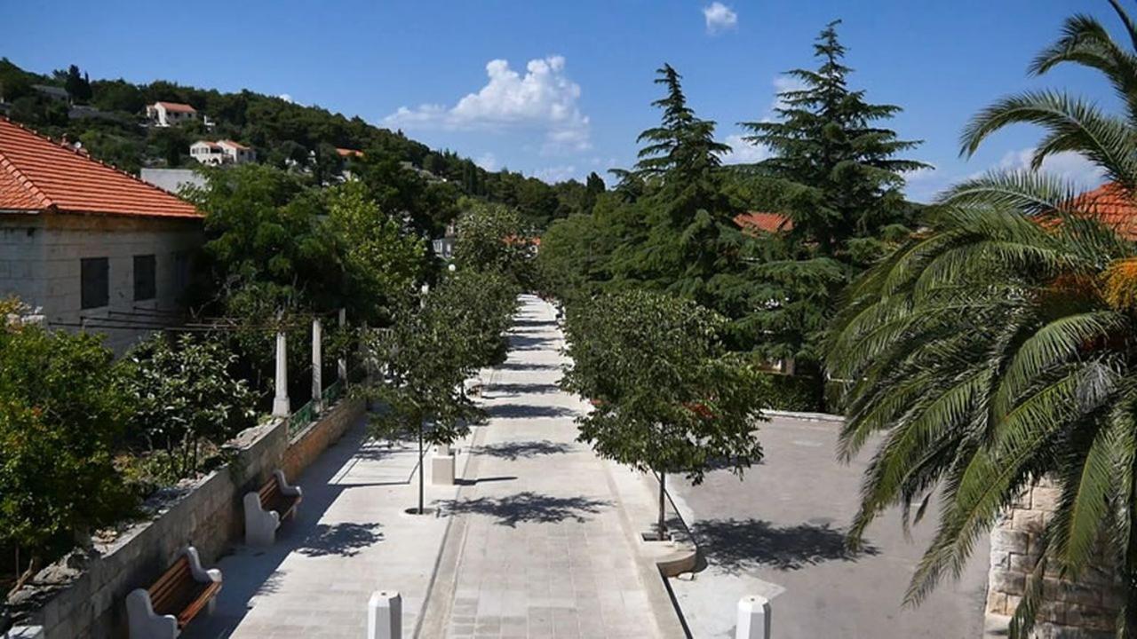 Photo 40