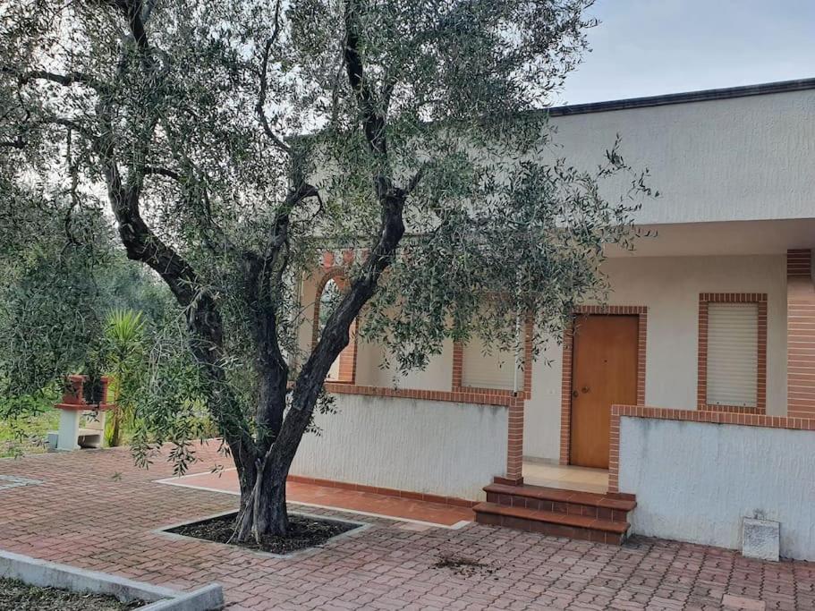 Appartamenti Anna Maria photo 3