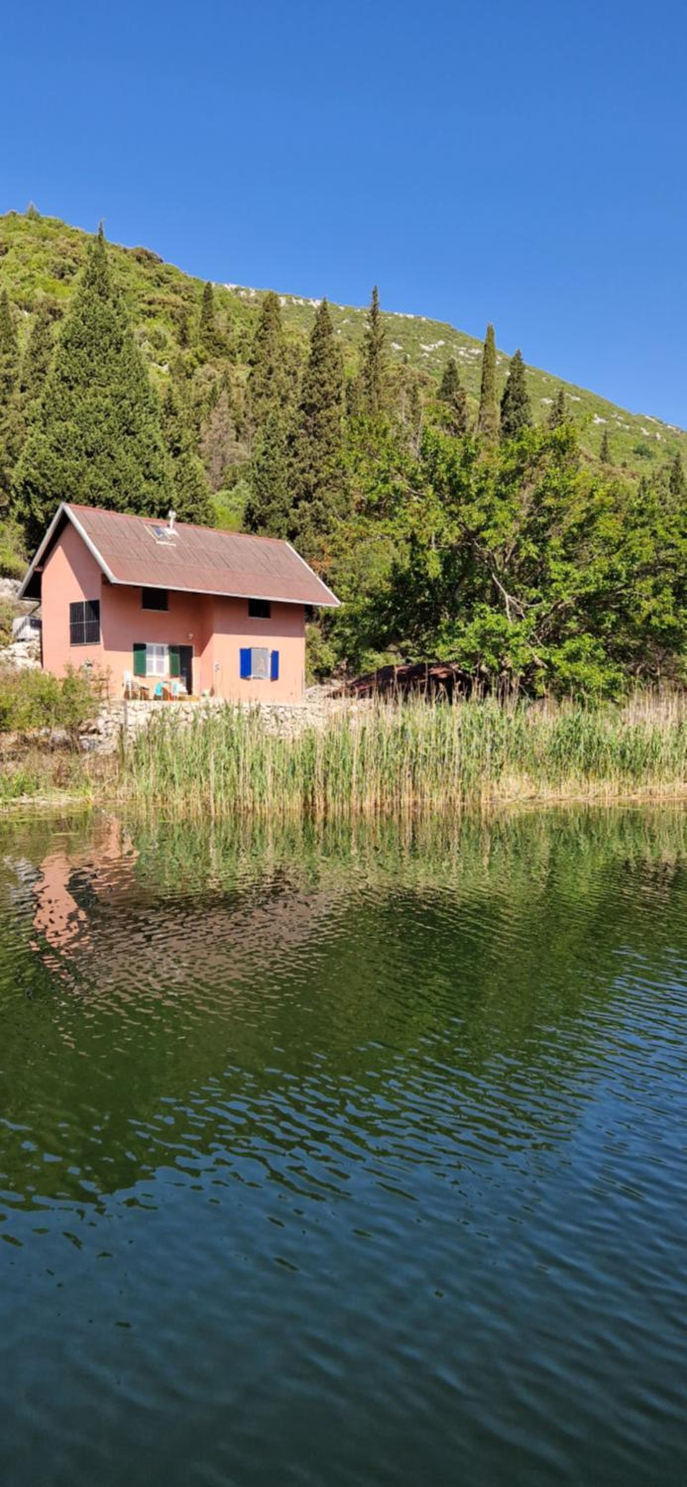 A house in the wilderness view 5