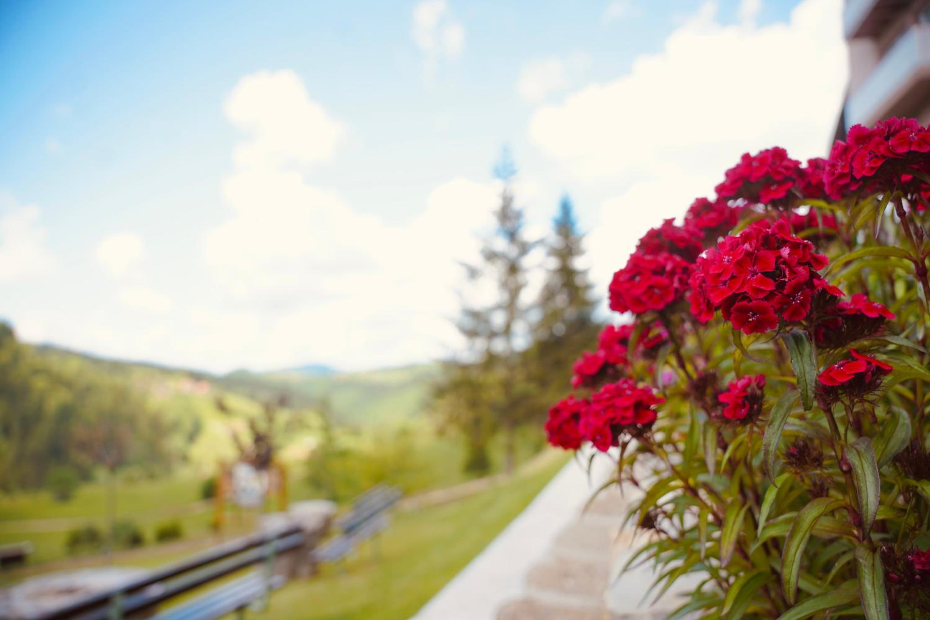 Zlatarska kruna