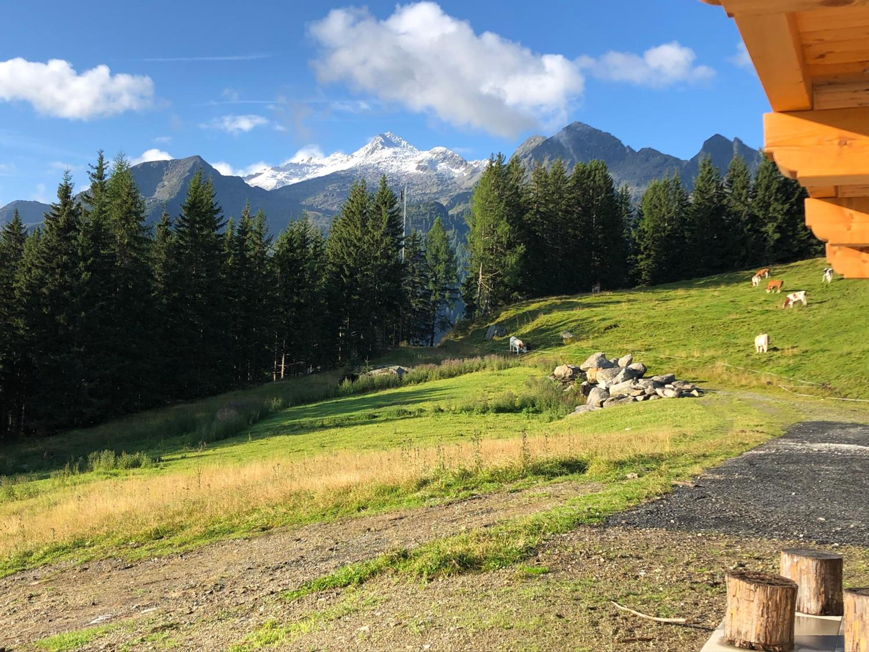 Filzsteinresort Chalets - Chalet 235