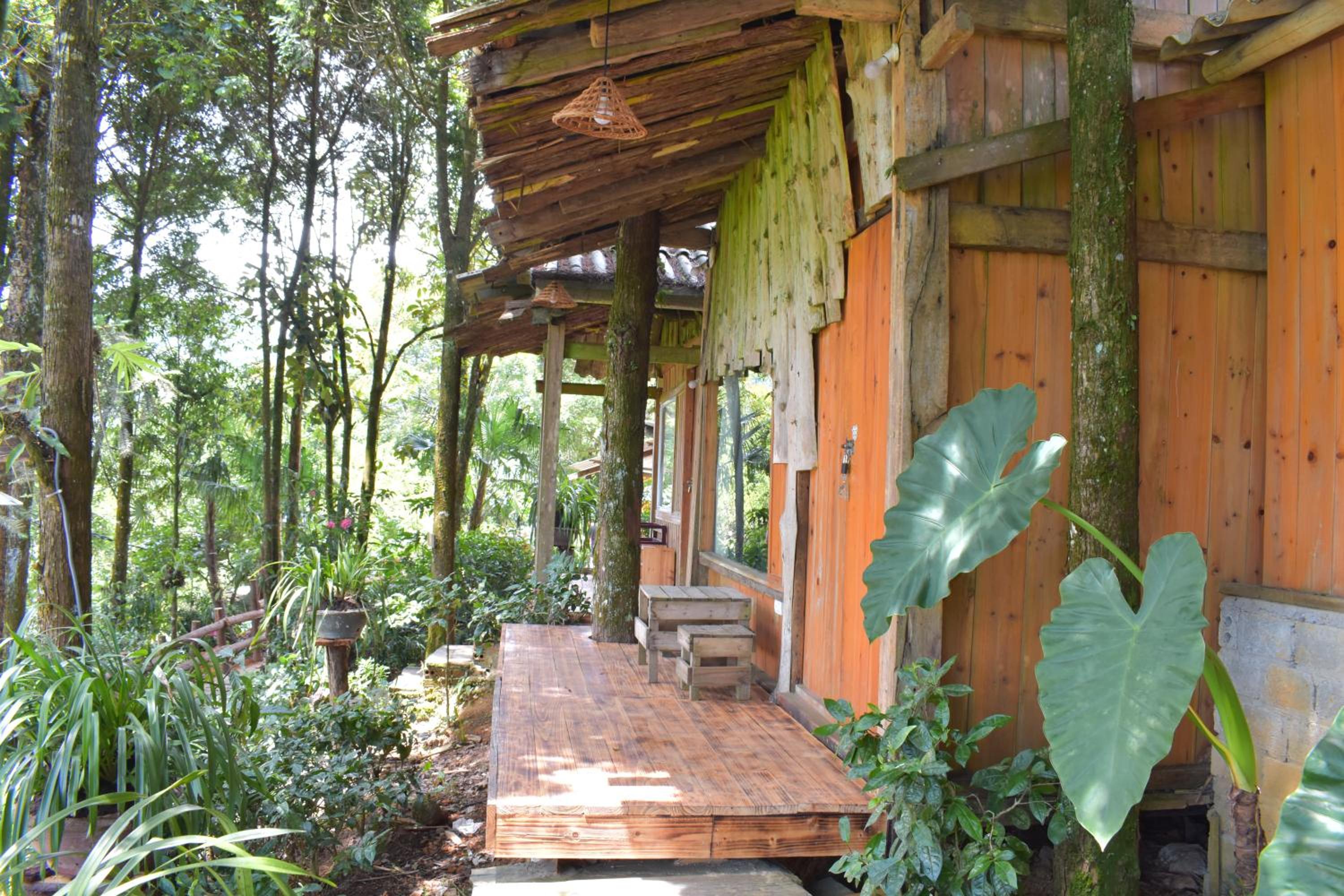 Sapa Jungle Homestay view 5