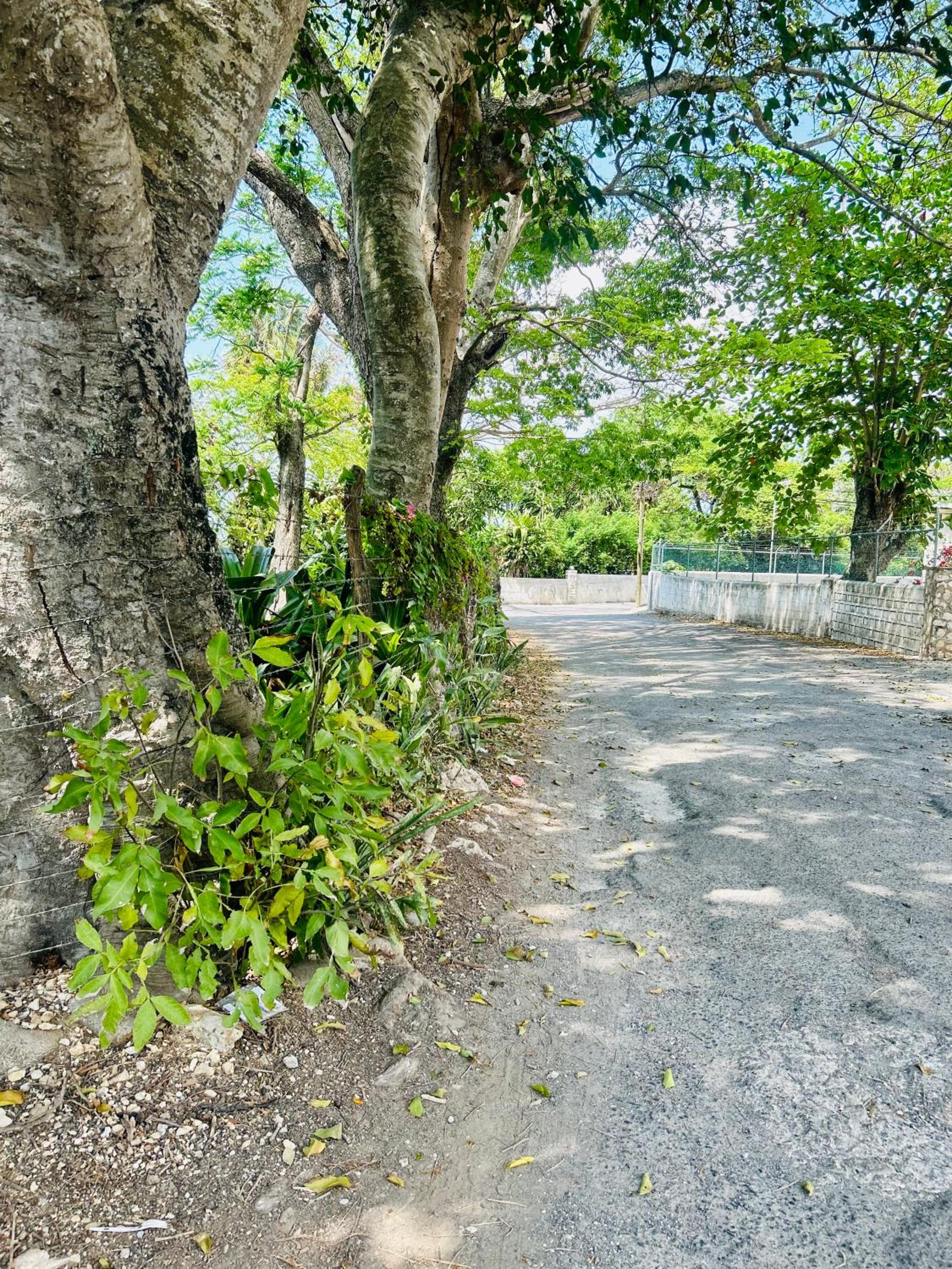 Luxury 1 Bedroom Fully Equipped in West End Negril view 2
