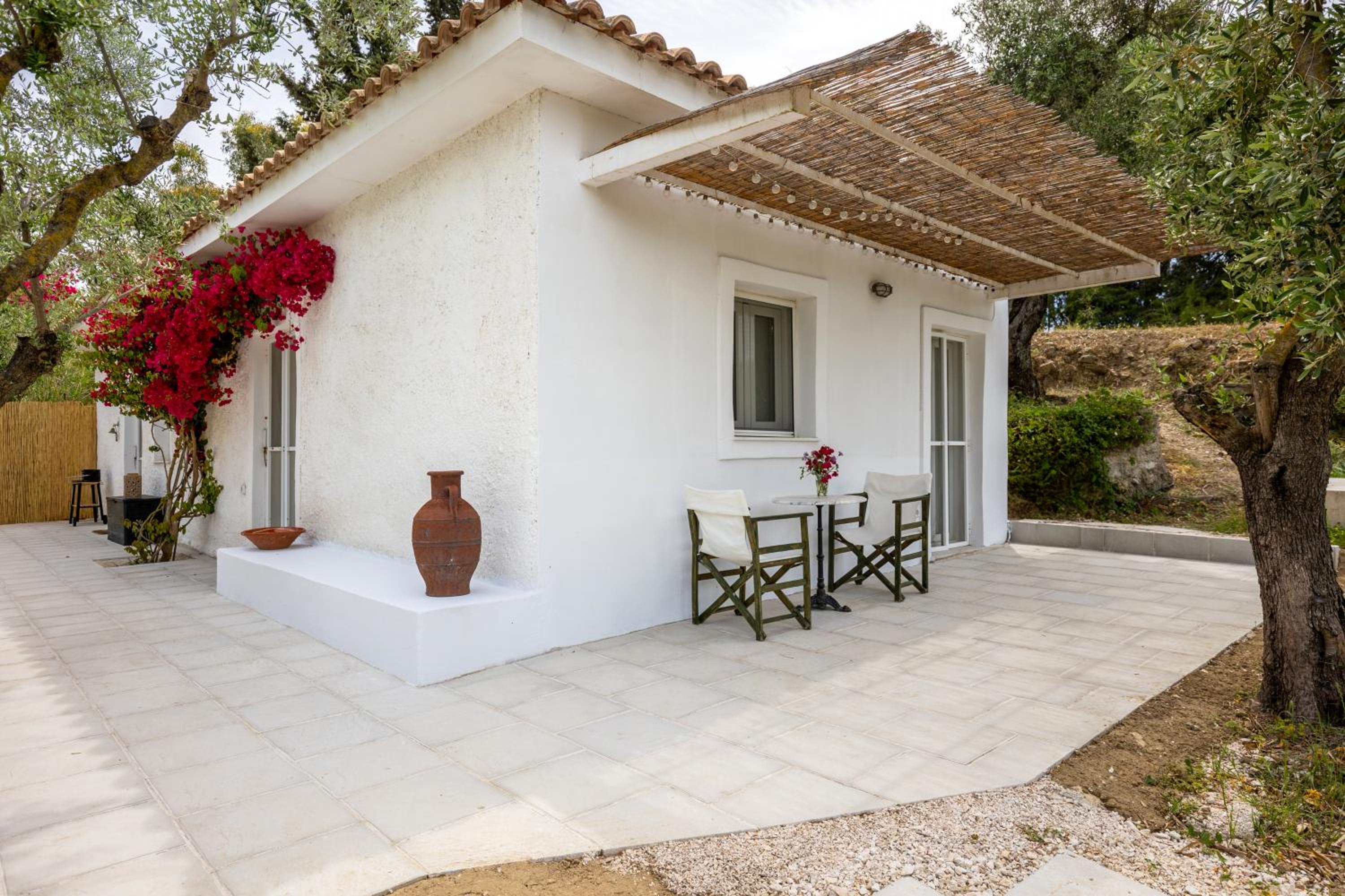 Olive House photo 5