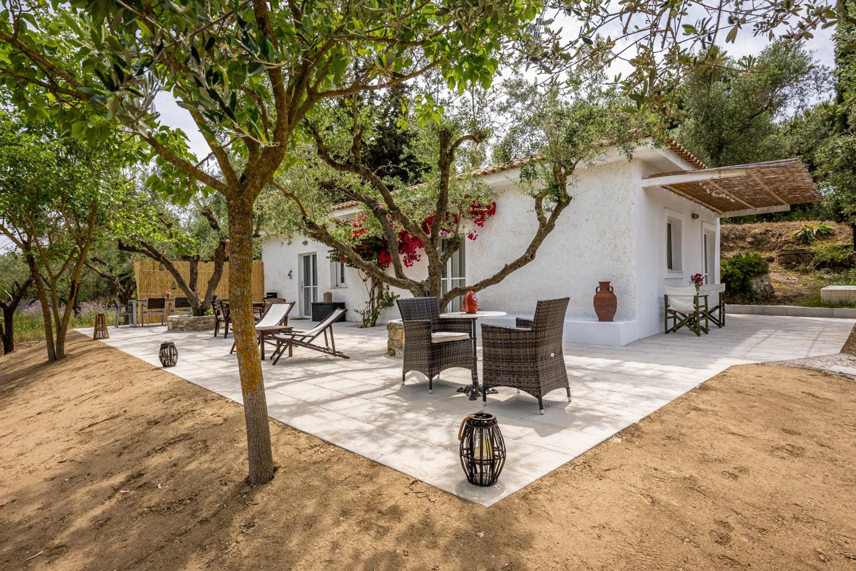 Olive House photo 3