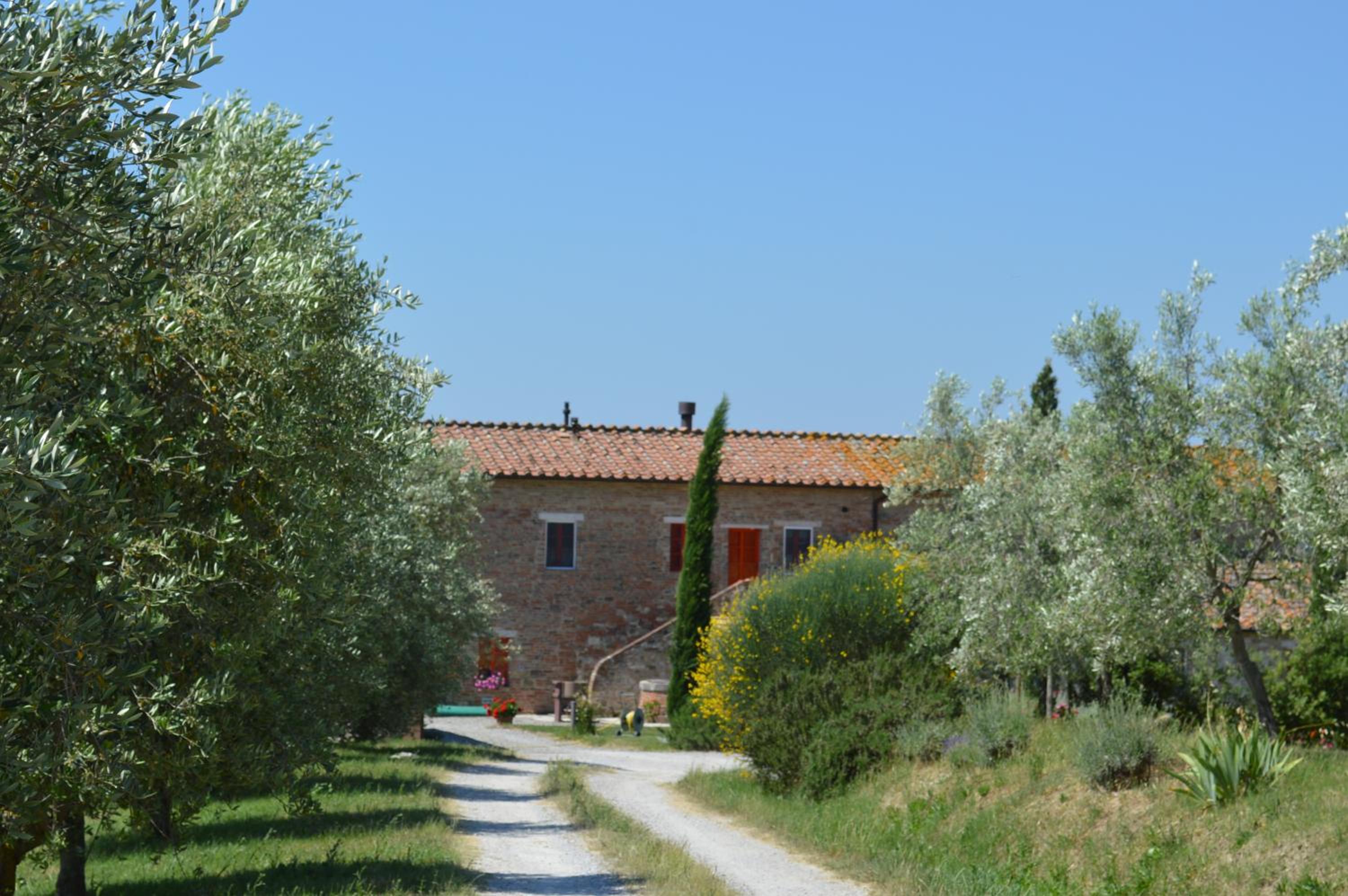 Photo 8