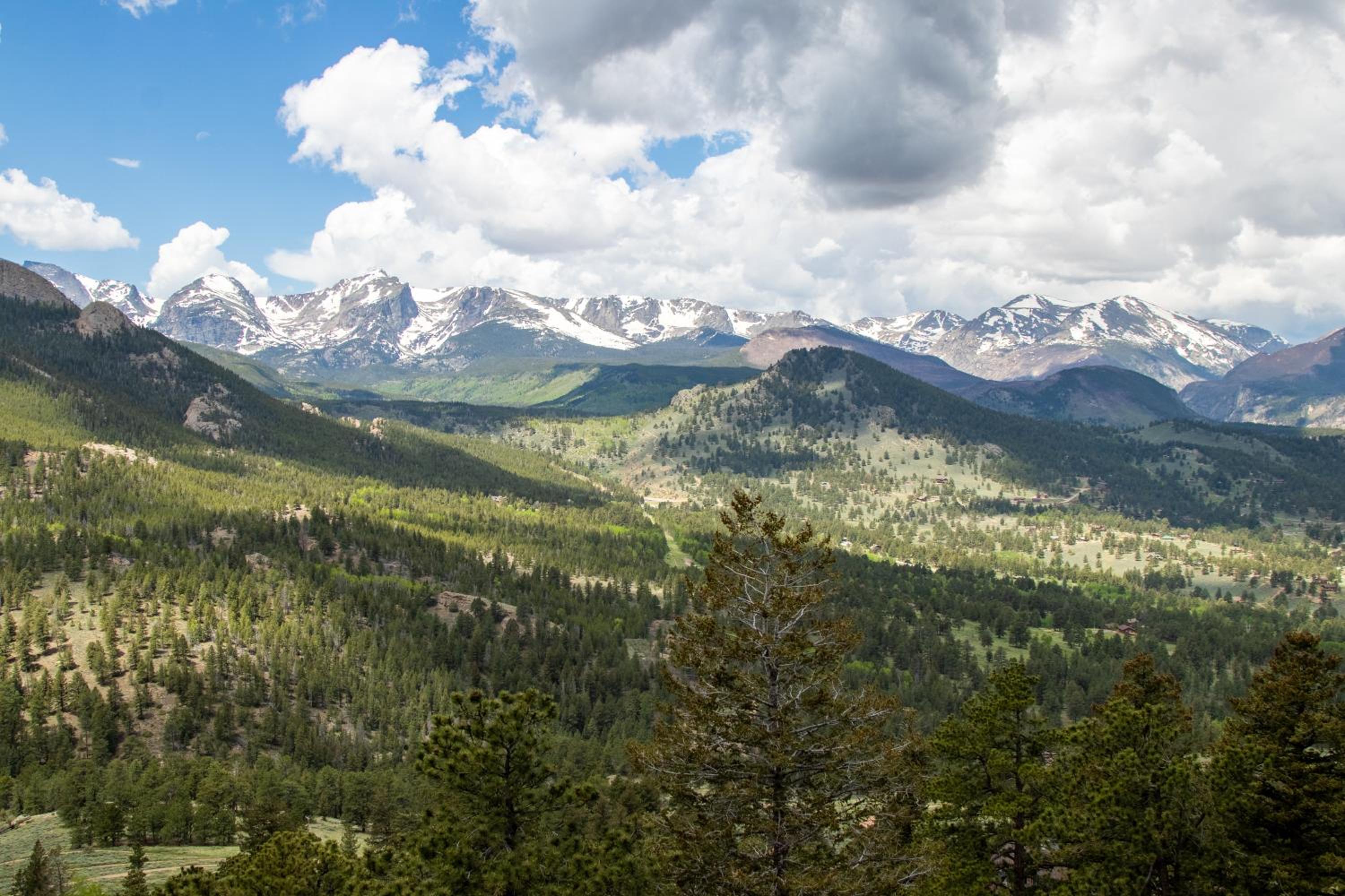 Breathtaking Luxury Mountain Retreat - Estes Park's Best Views - Switzerland in Colorado - Property Image 26