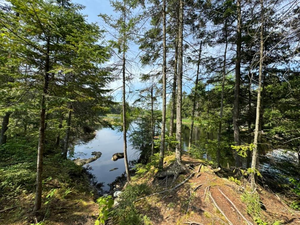 Cabin Zoobox 88