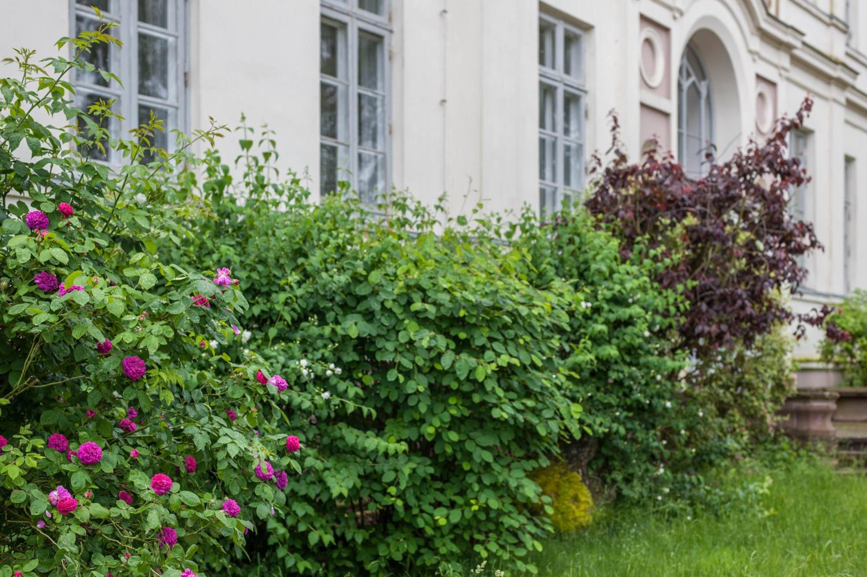 Herrenhaus Marienhof