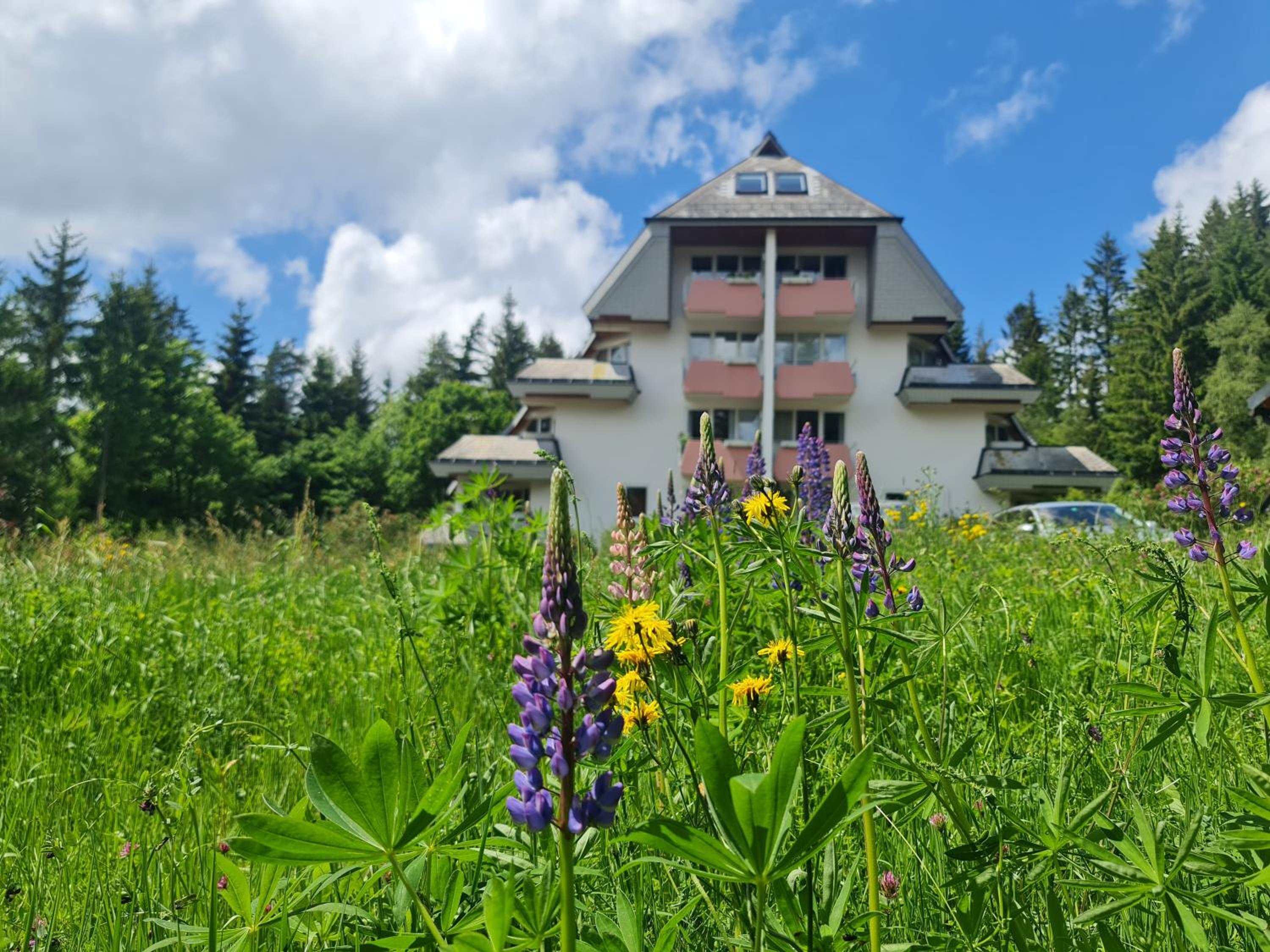 Schwarzwald Top Apartment
