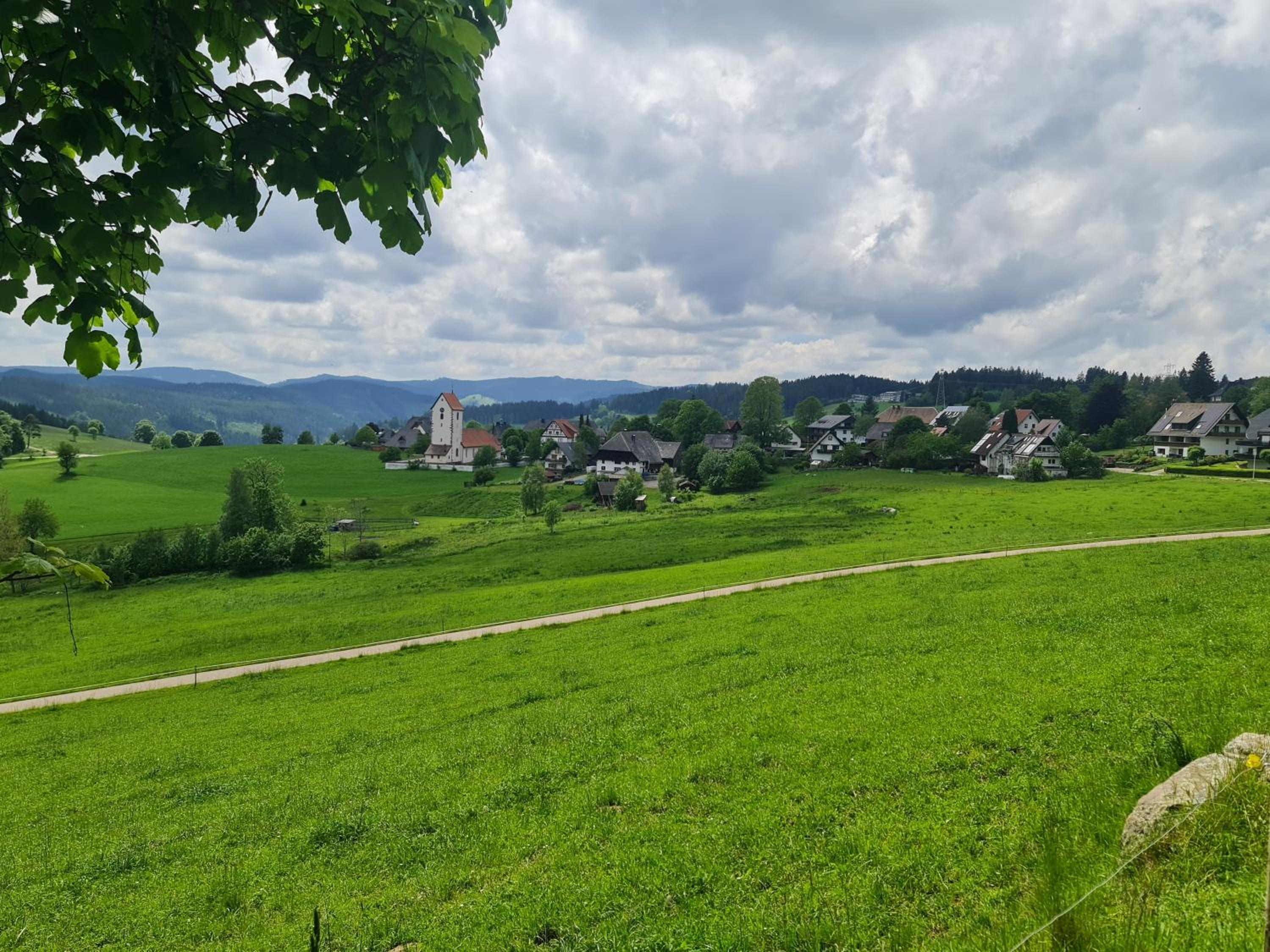 Schwarzwald Top Apartment