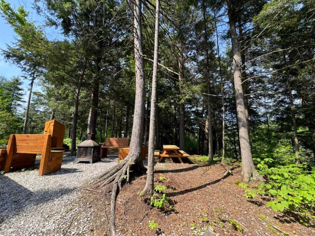 Cabin Zoobox 82