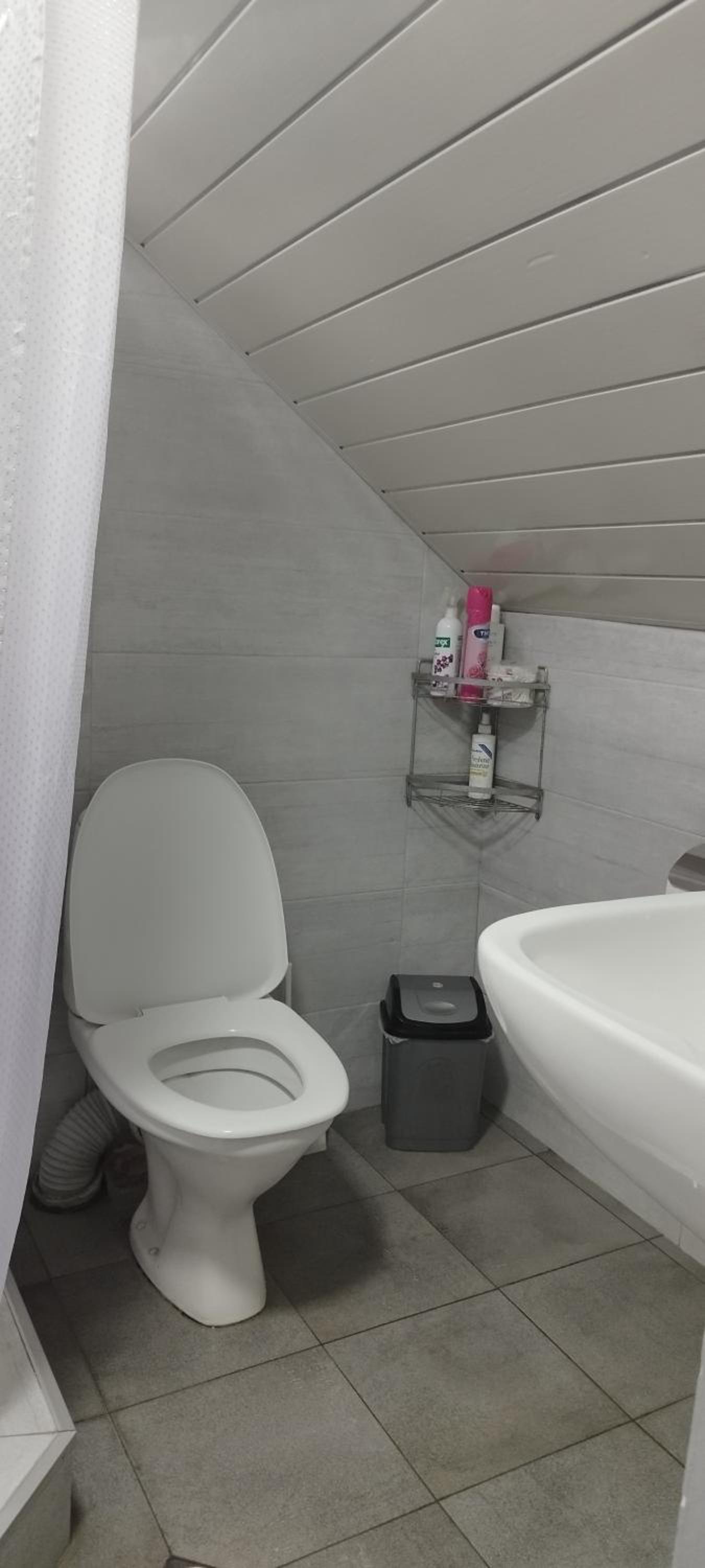 Guesthouse Rest