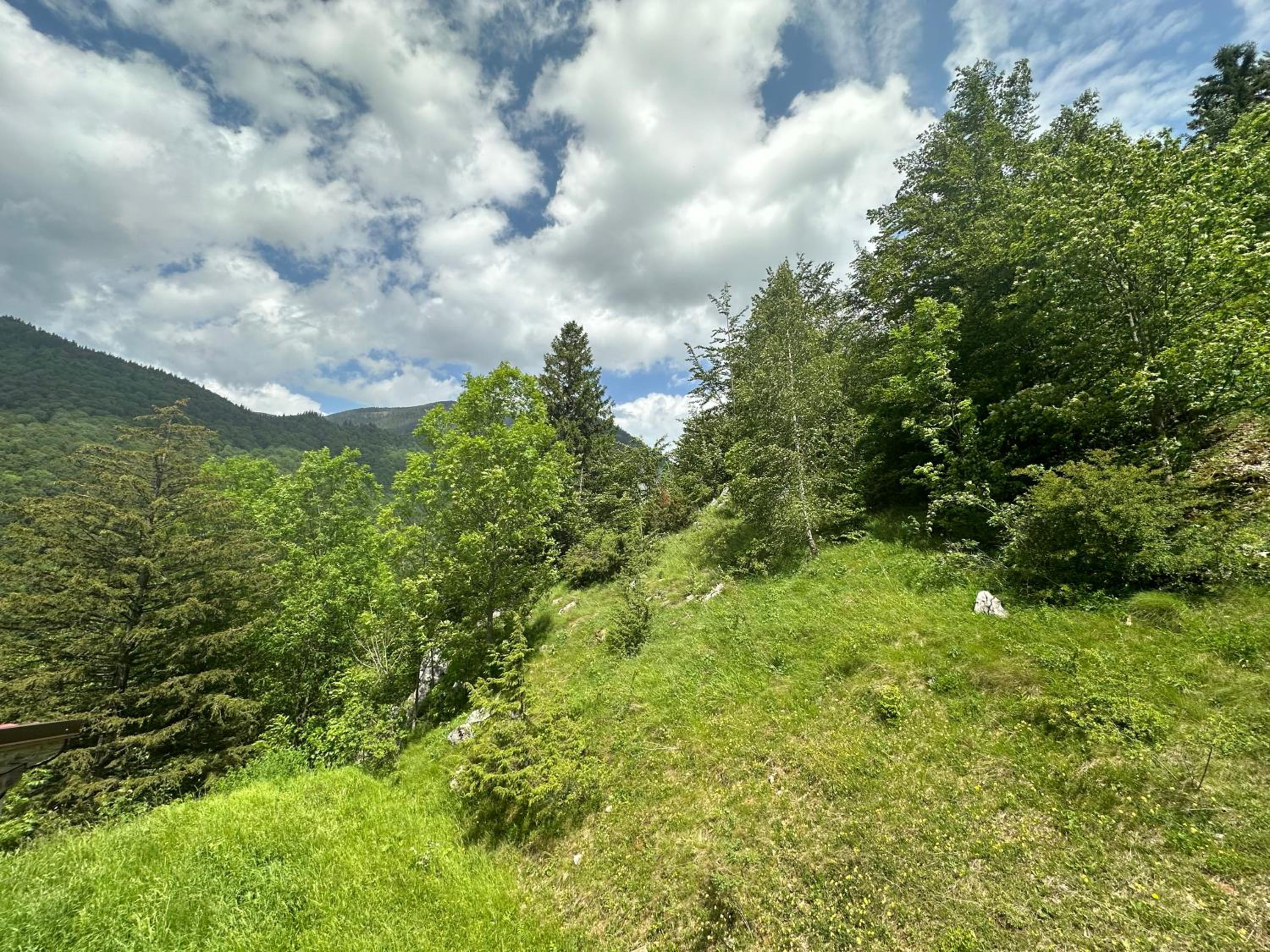 Pensiunea Magura
