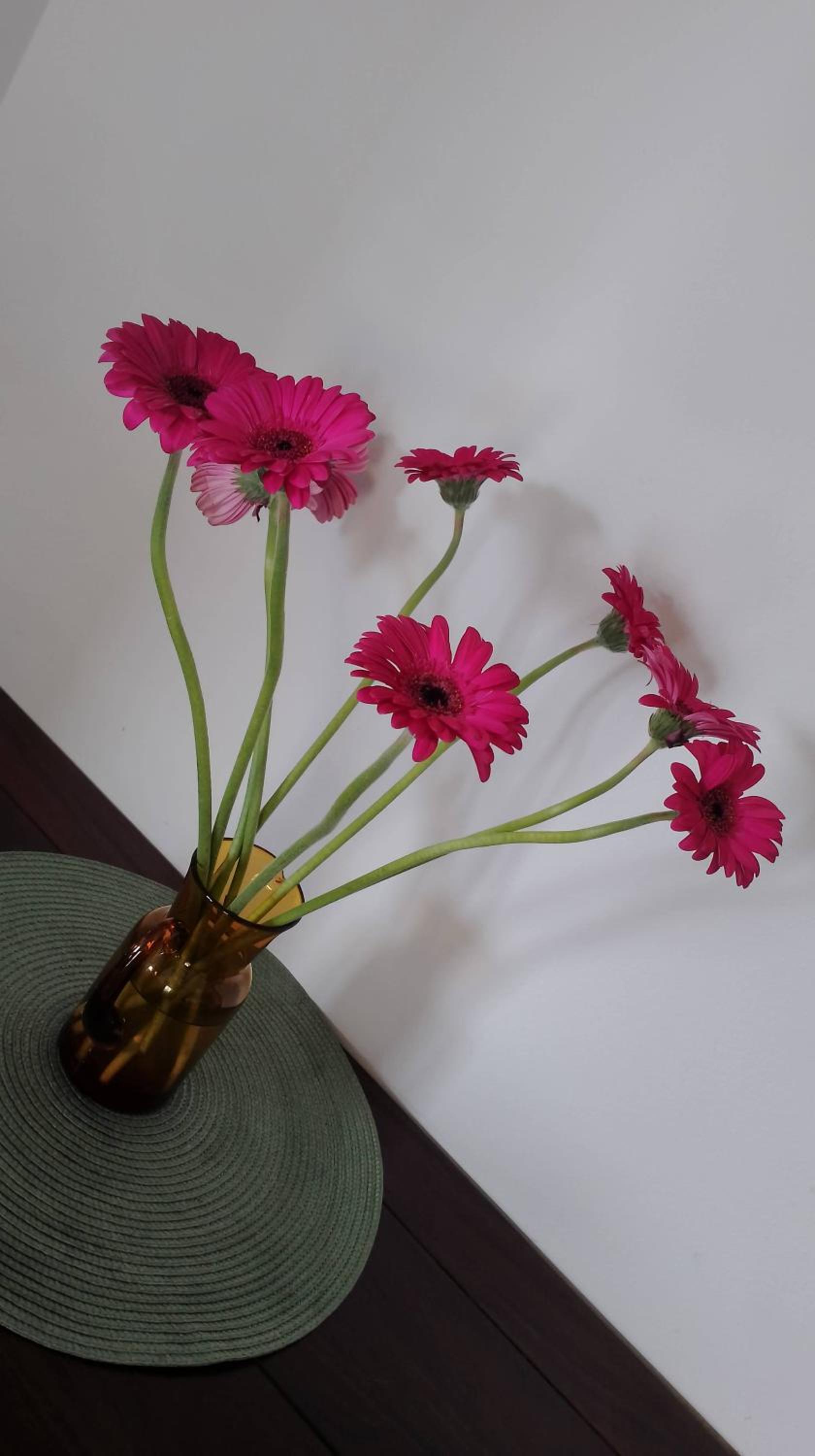 Apartament Kwiatowy klimatyzowany, photo 11