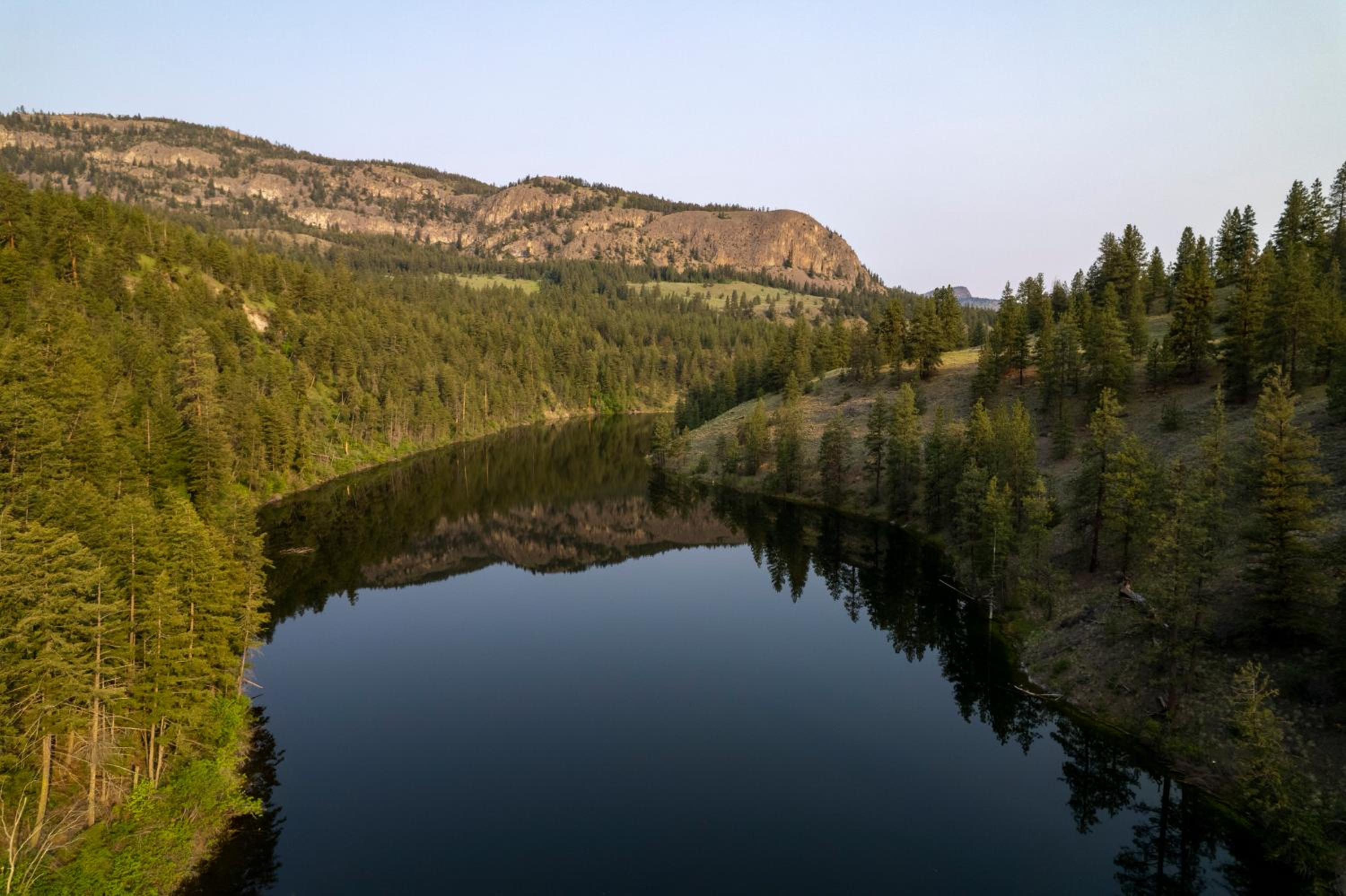 Mountain Springs Nature Retreat