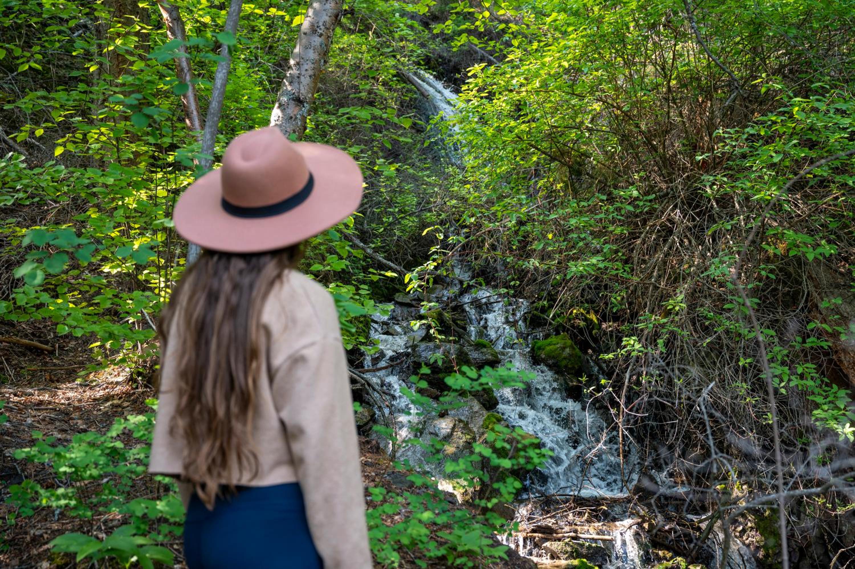 Mountain Springs Nature Retreat