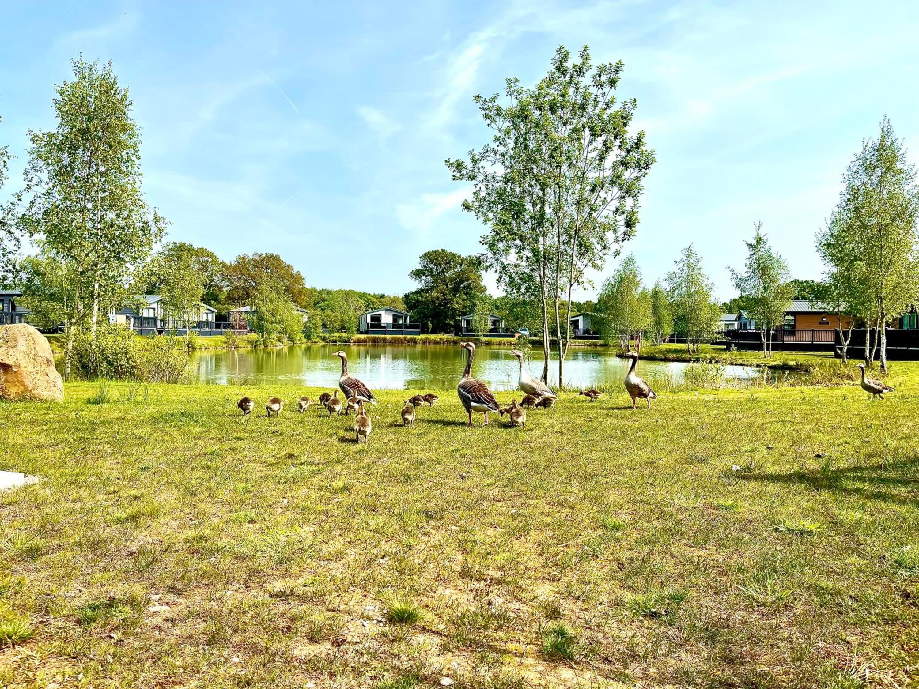 Ella Lodge