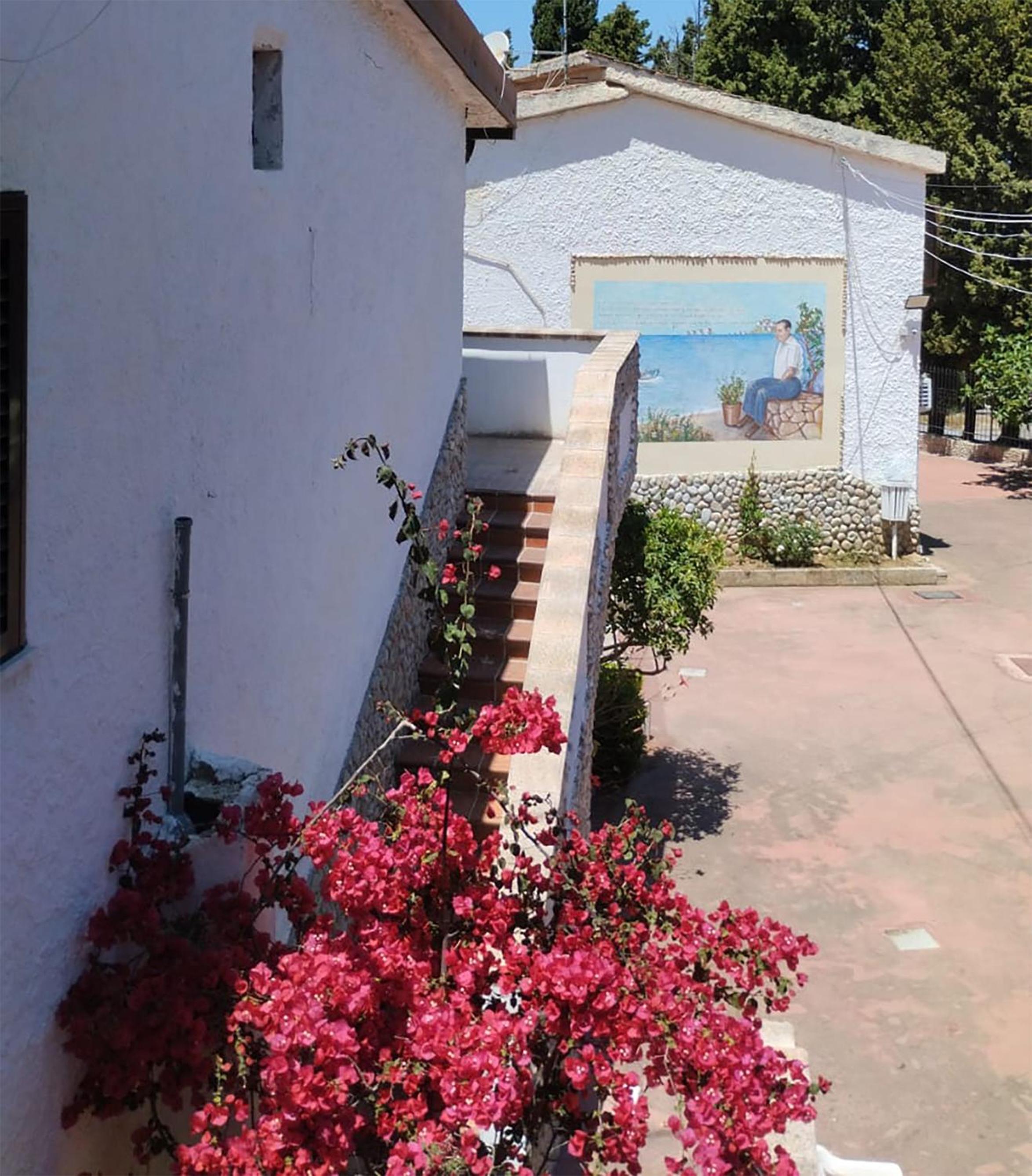 Photo 19