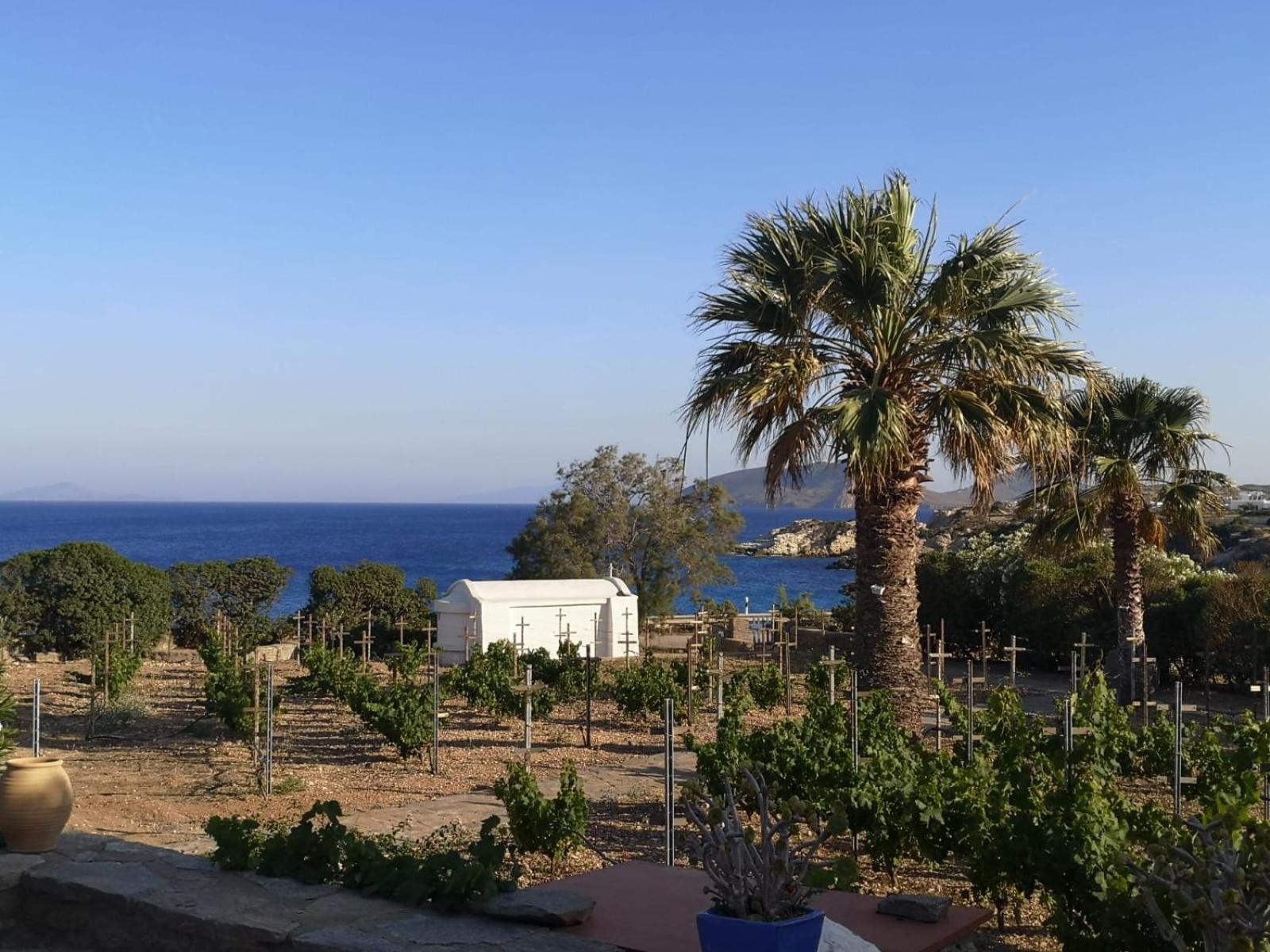 Villa Antinaxos