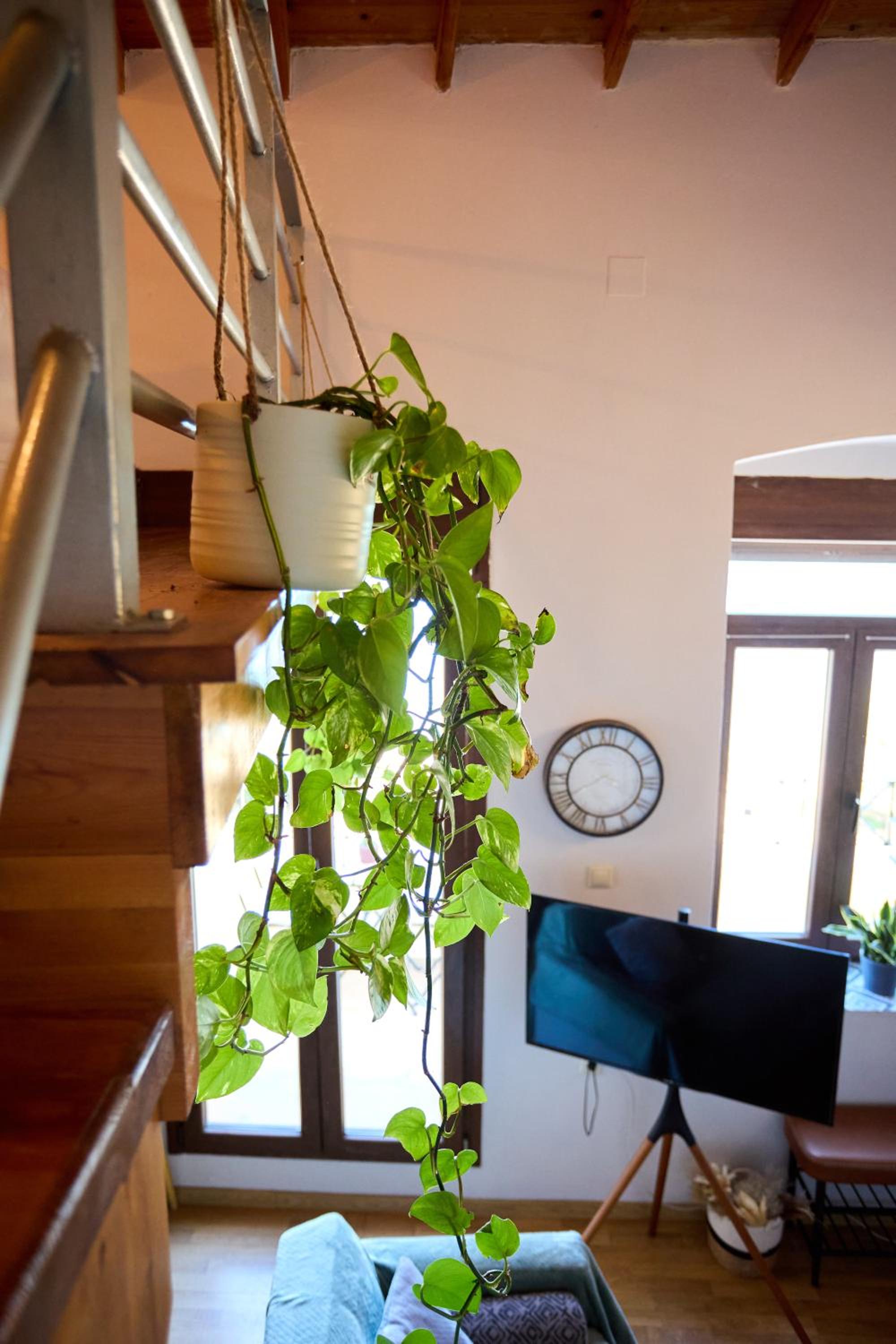 Windmills Apartments Chios