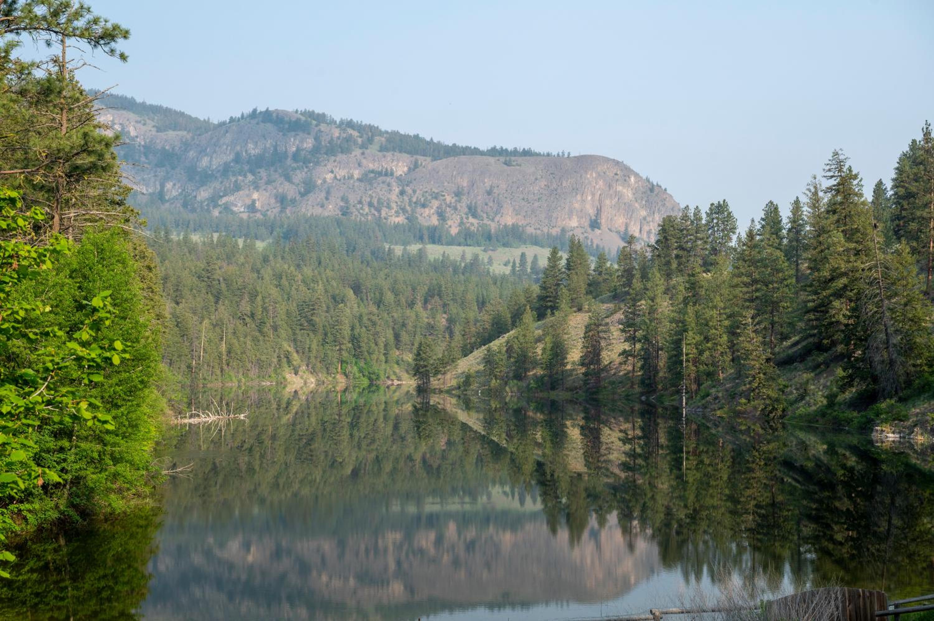 Mountain Springs Nature Retreat