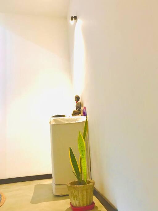 Photo 31