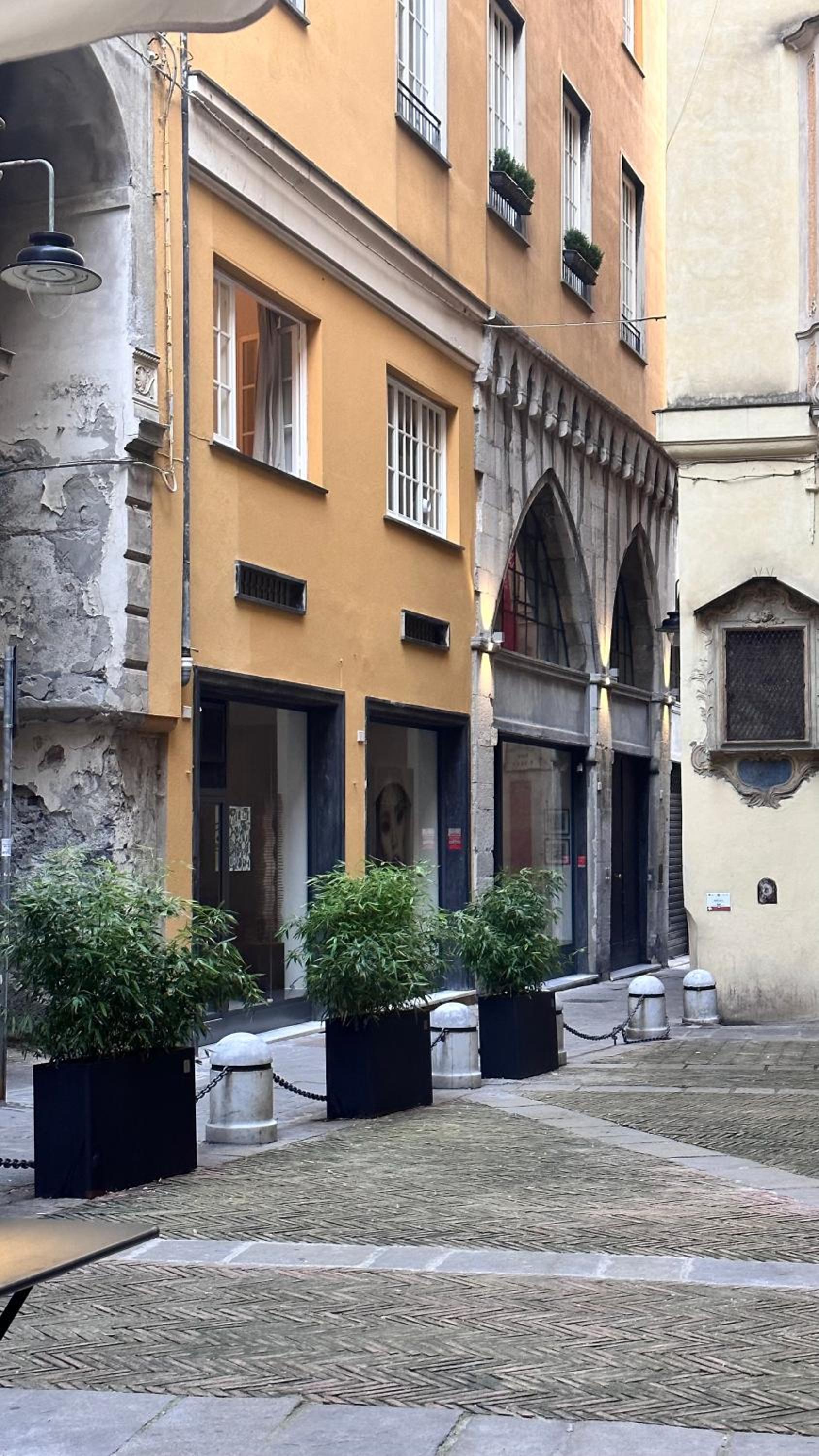 Rolli Palace Genoa by PellicceriaSuperior view 5
