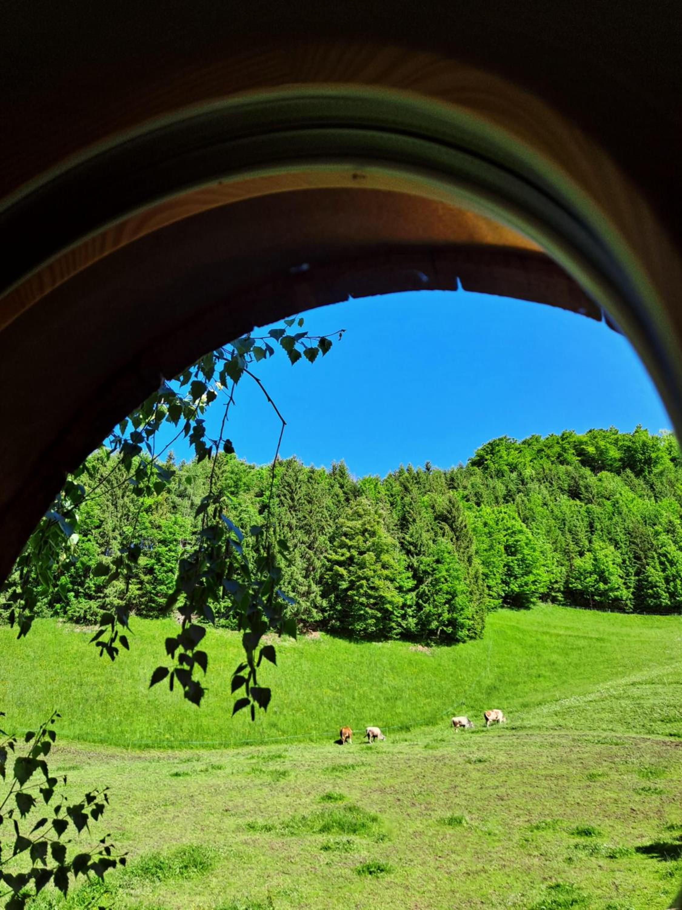 UlMi's Tiny Haus